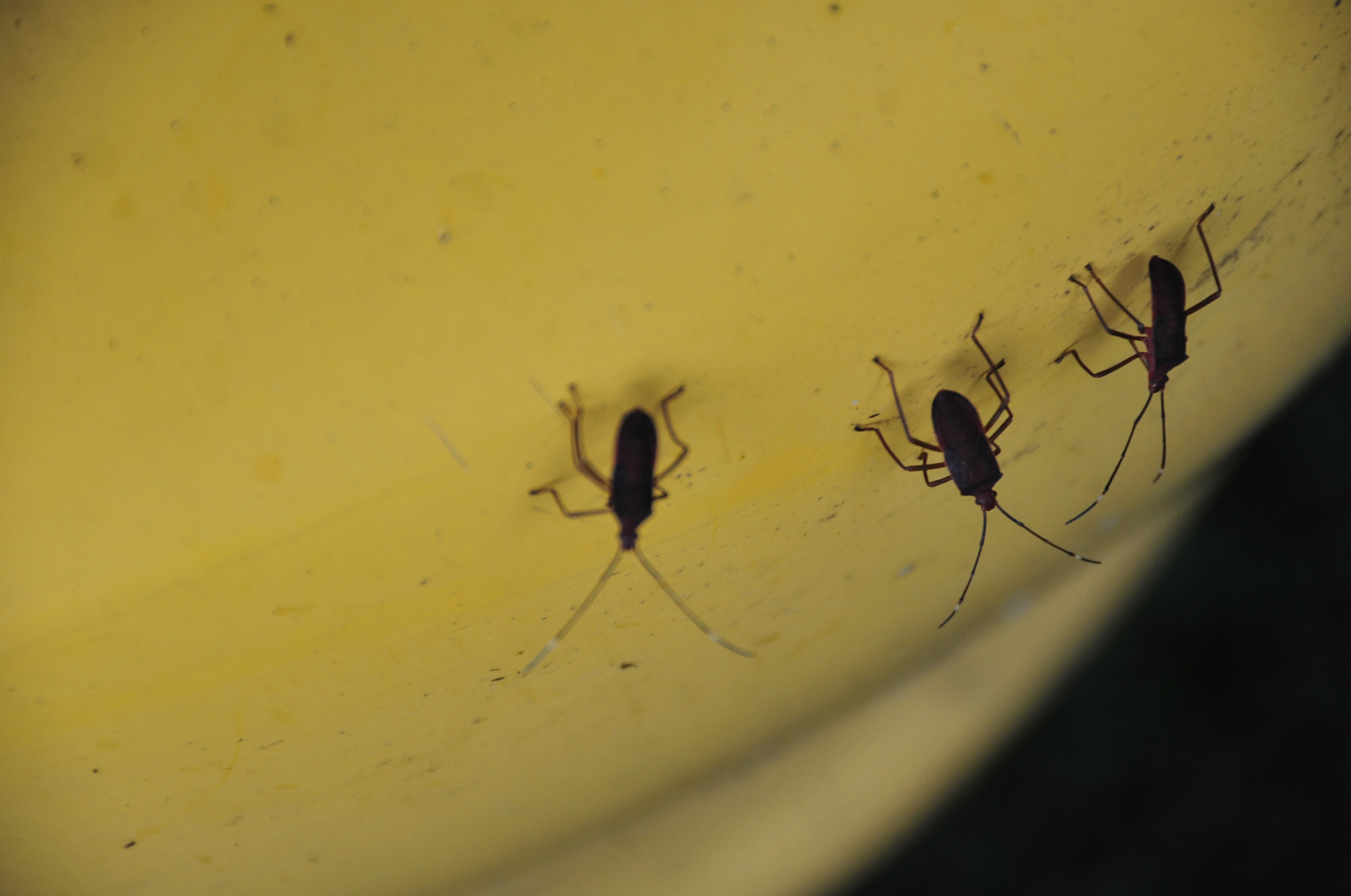 Nikon D3 sample photo. .. photography