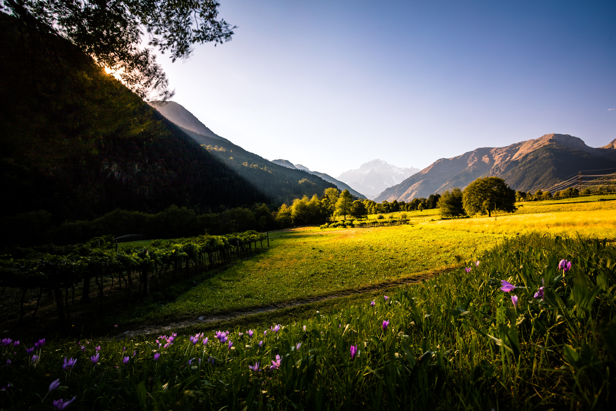 Canon EOS 5DS R + Canon EF 17-40mm F4L USM sample photo. Wondering around photography