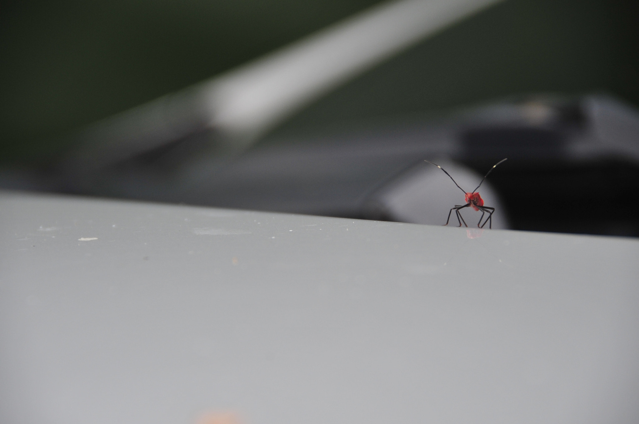 Nikon D3 sample photo. .. photography