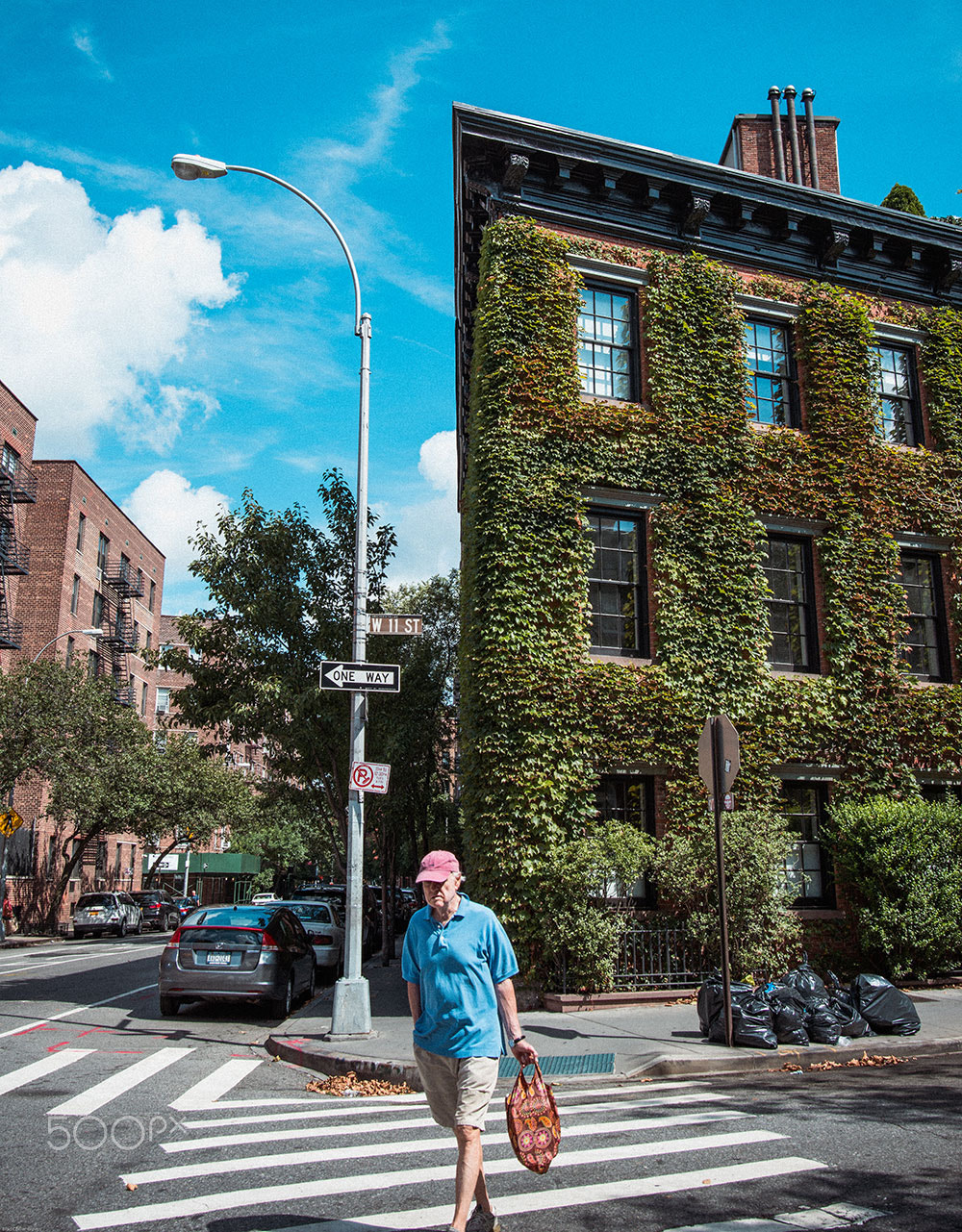 Nikon AF-S Nikkor 20mm F1.8G ED sample photo. Greenwich village ivy house photography
