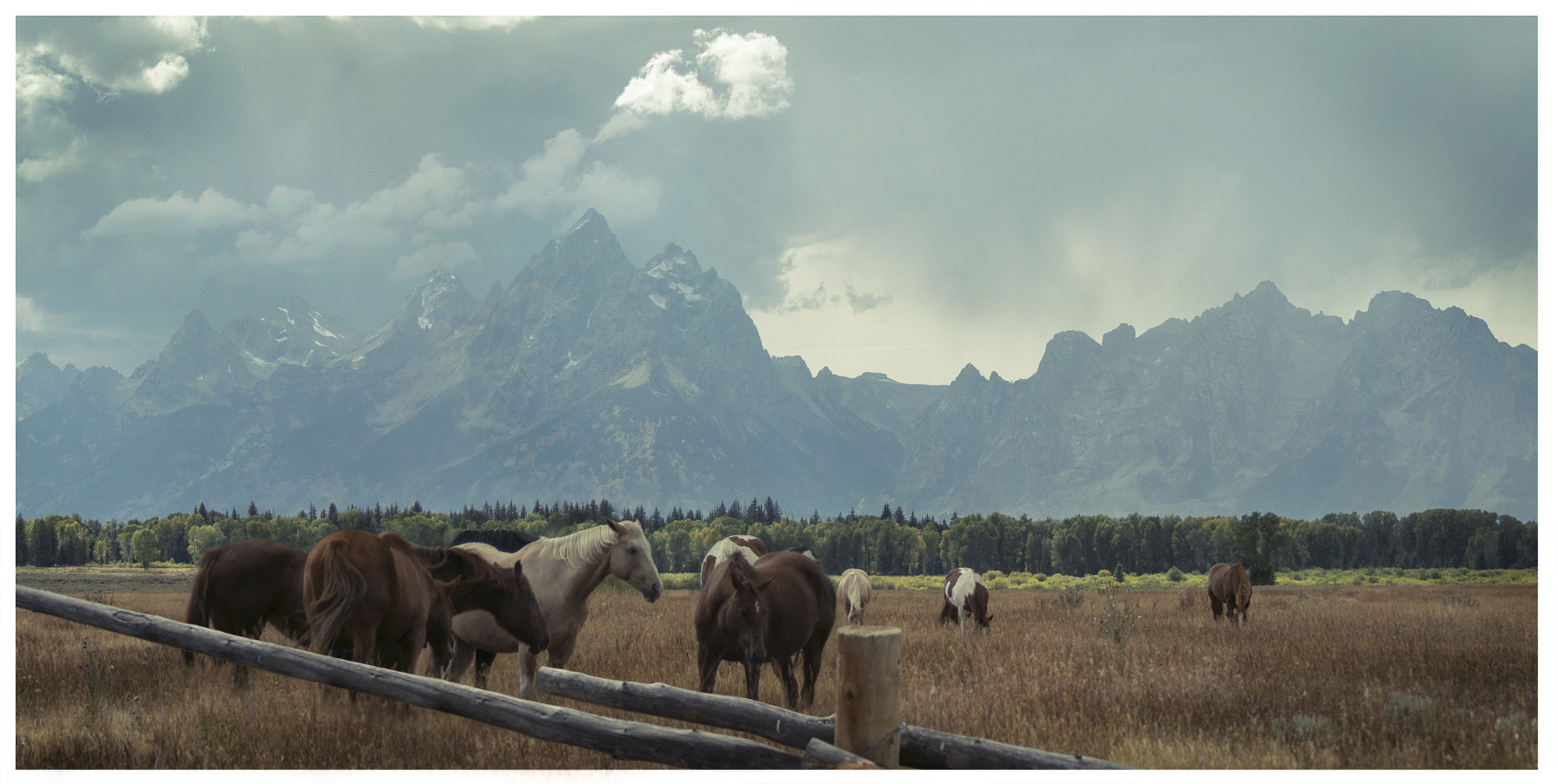 Sony 75-300mm F4.5-5.6 sample photo. Gt horse ranch photography