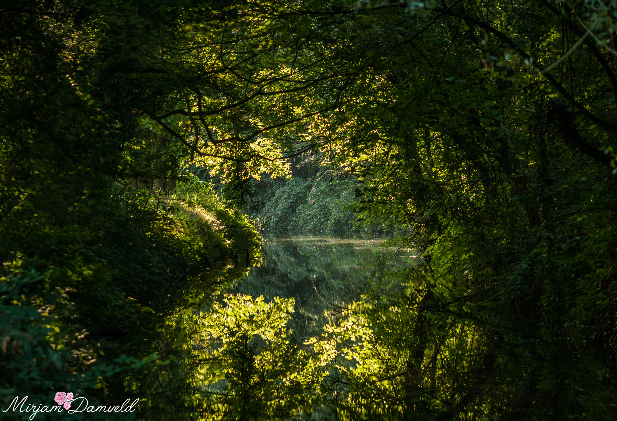 Canon EF 75-300mm f/4-5.6 USM sample photo. Img photography