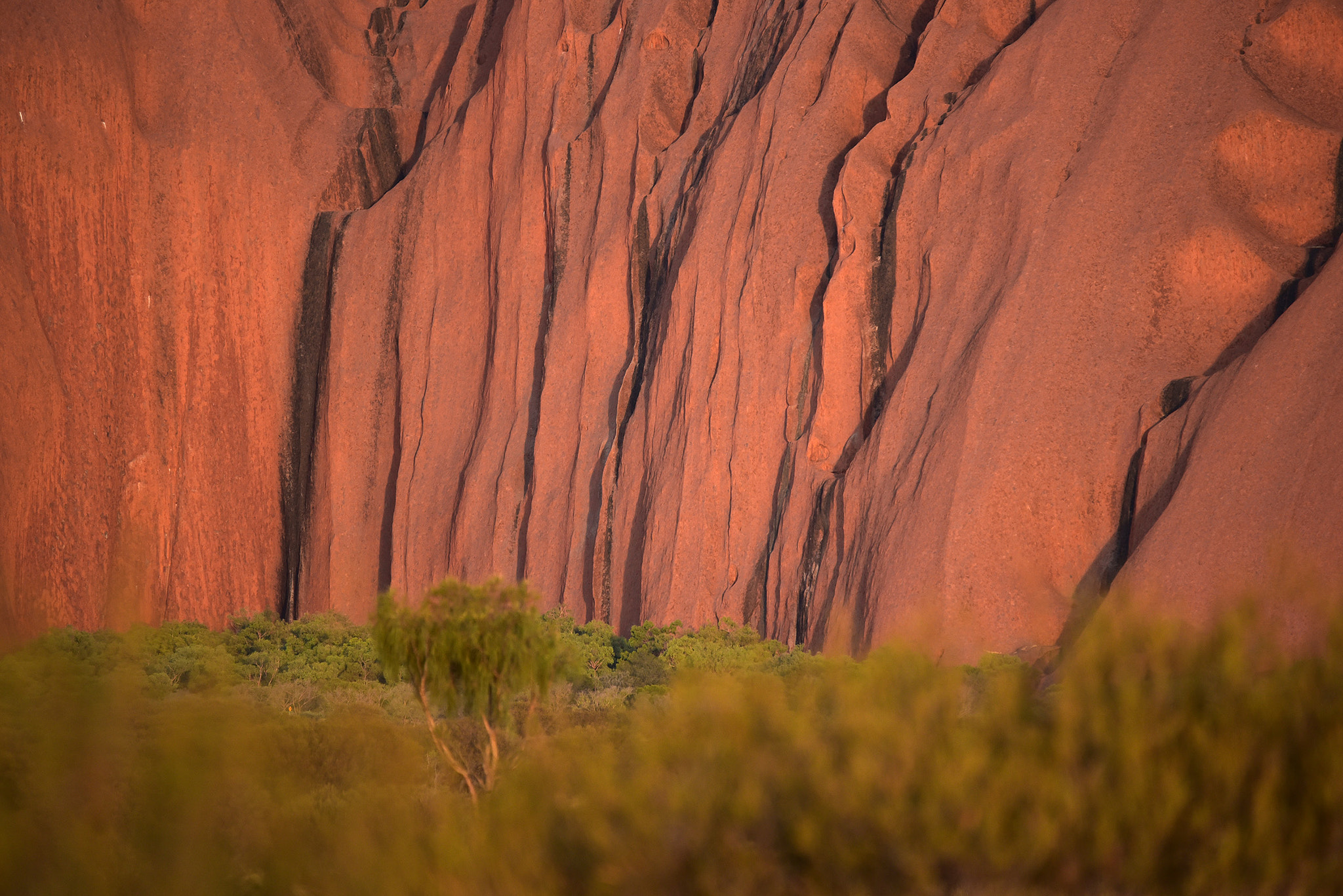 Sigma 120-400mm F4.5-5.6 DG OS HSM sample photo. 24949893964.jpg photography