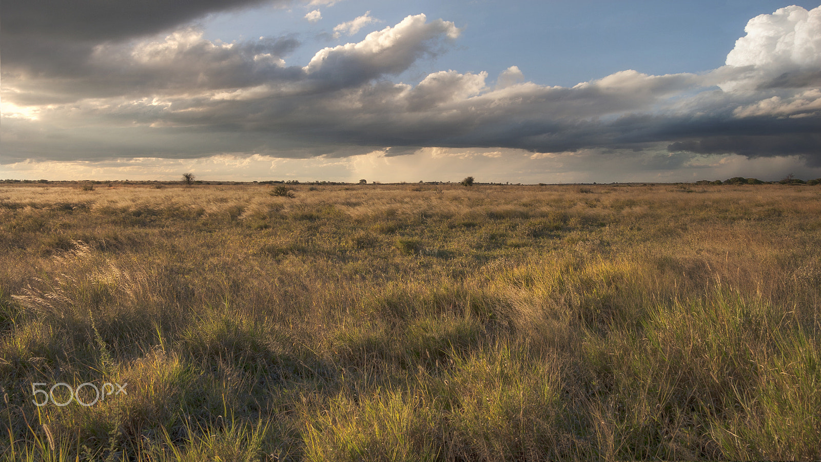 Canon EF-S 17-85mm F4-5.6 IS USM sample photo. степь photography