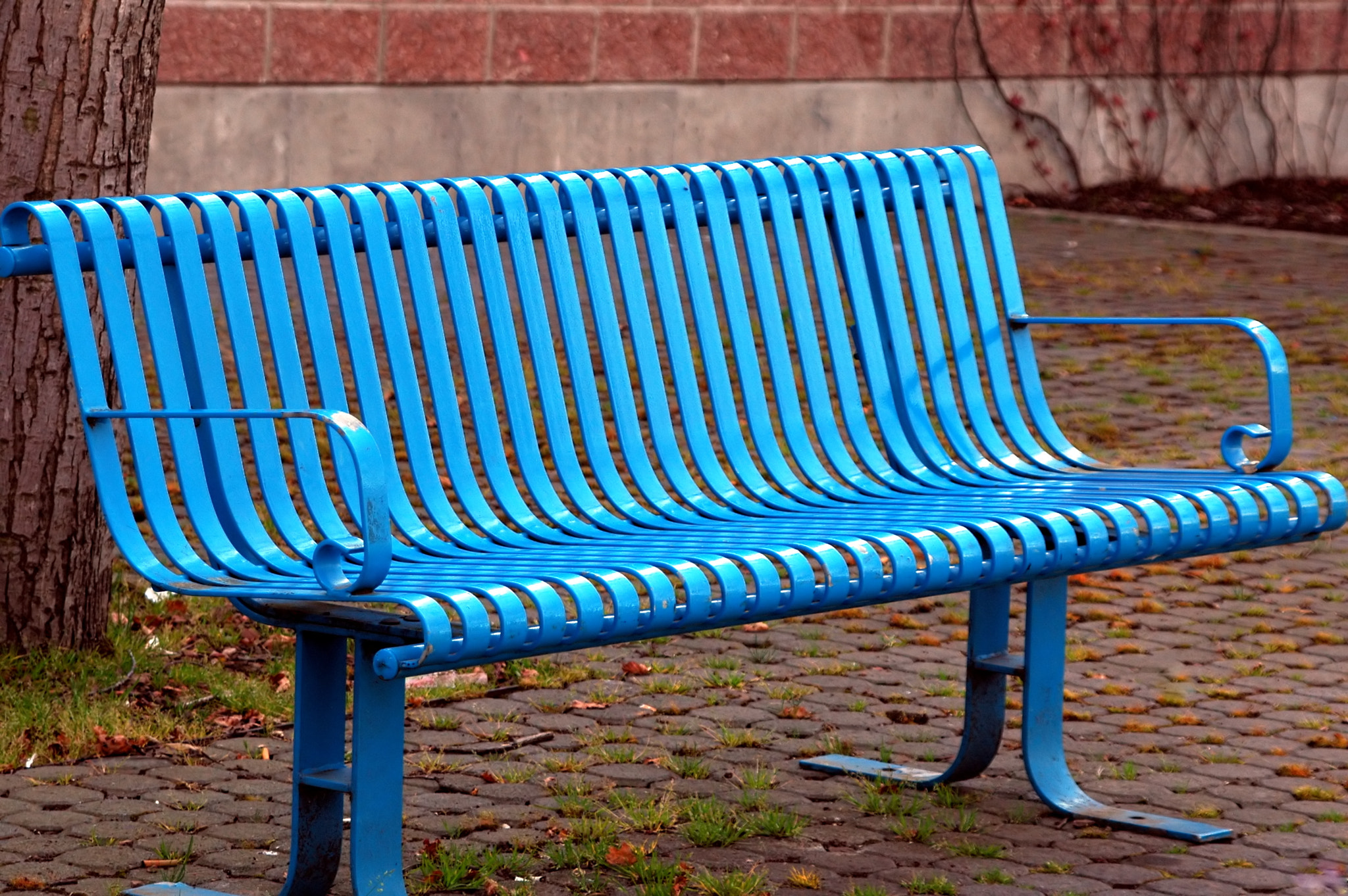 Nikon D70 sample photo. Park bench. photography