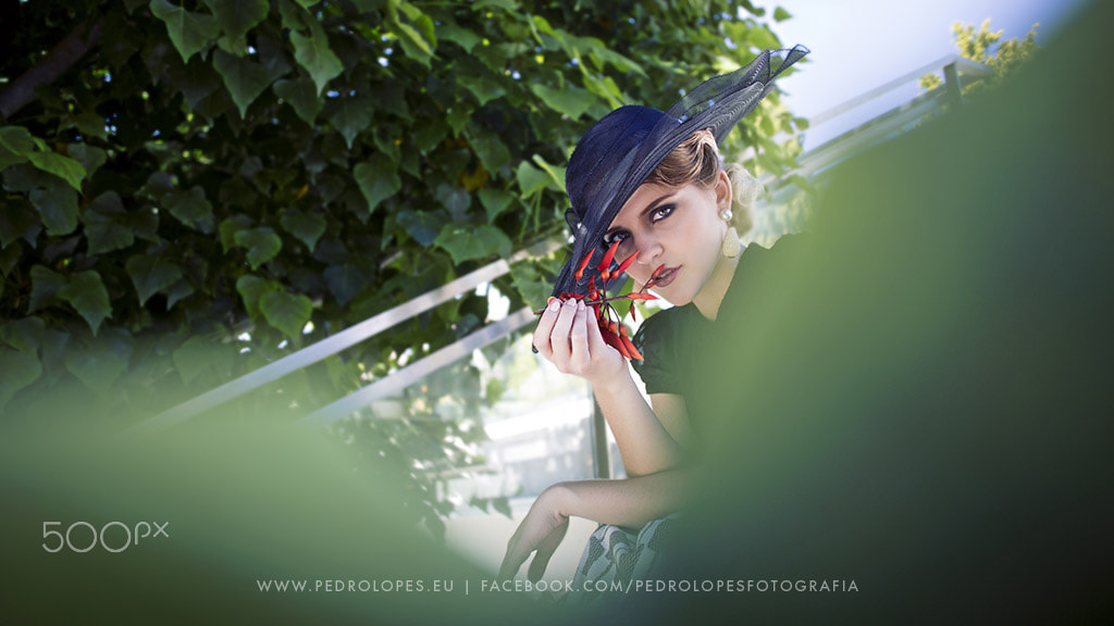 Canon EF 28mm F2.8 IS USM sample photo. Chocolate com pimenta photography