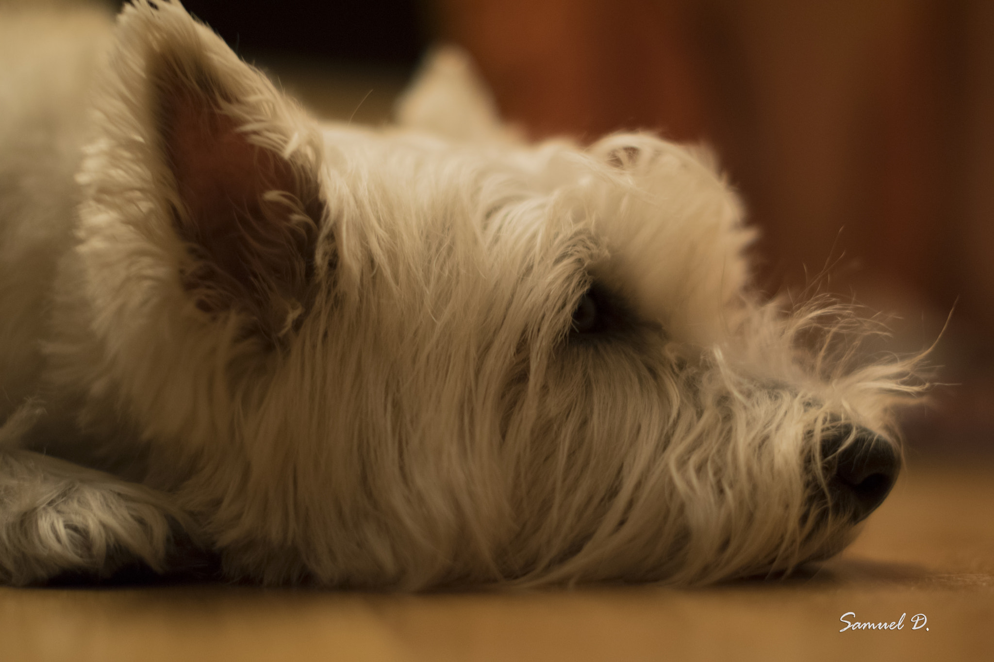 Nikon D5300 + Nikon AF-S Nikkor 50mm F1.4G sample photo. Luna photography