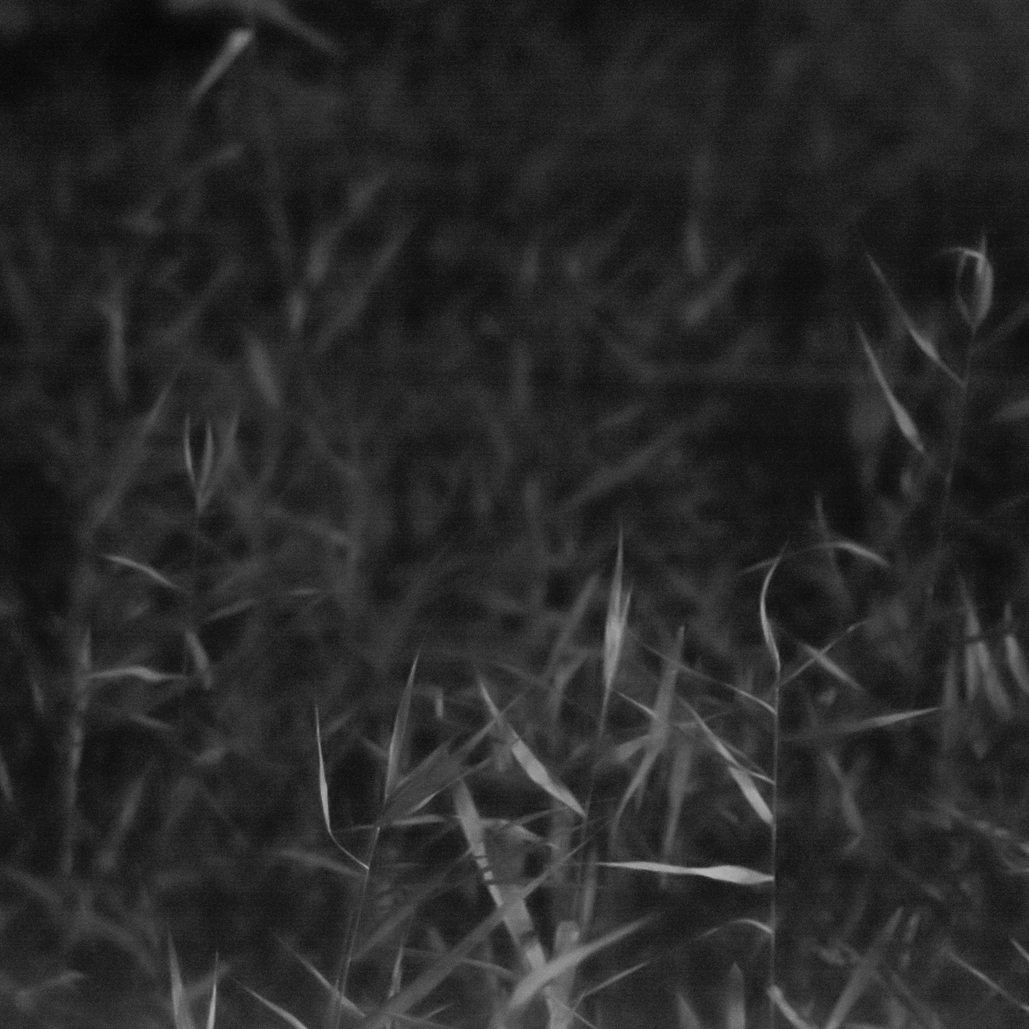 Samyang 35mm F1.4 AS UMC sample photo. It comes in the night photography