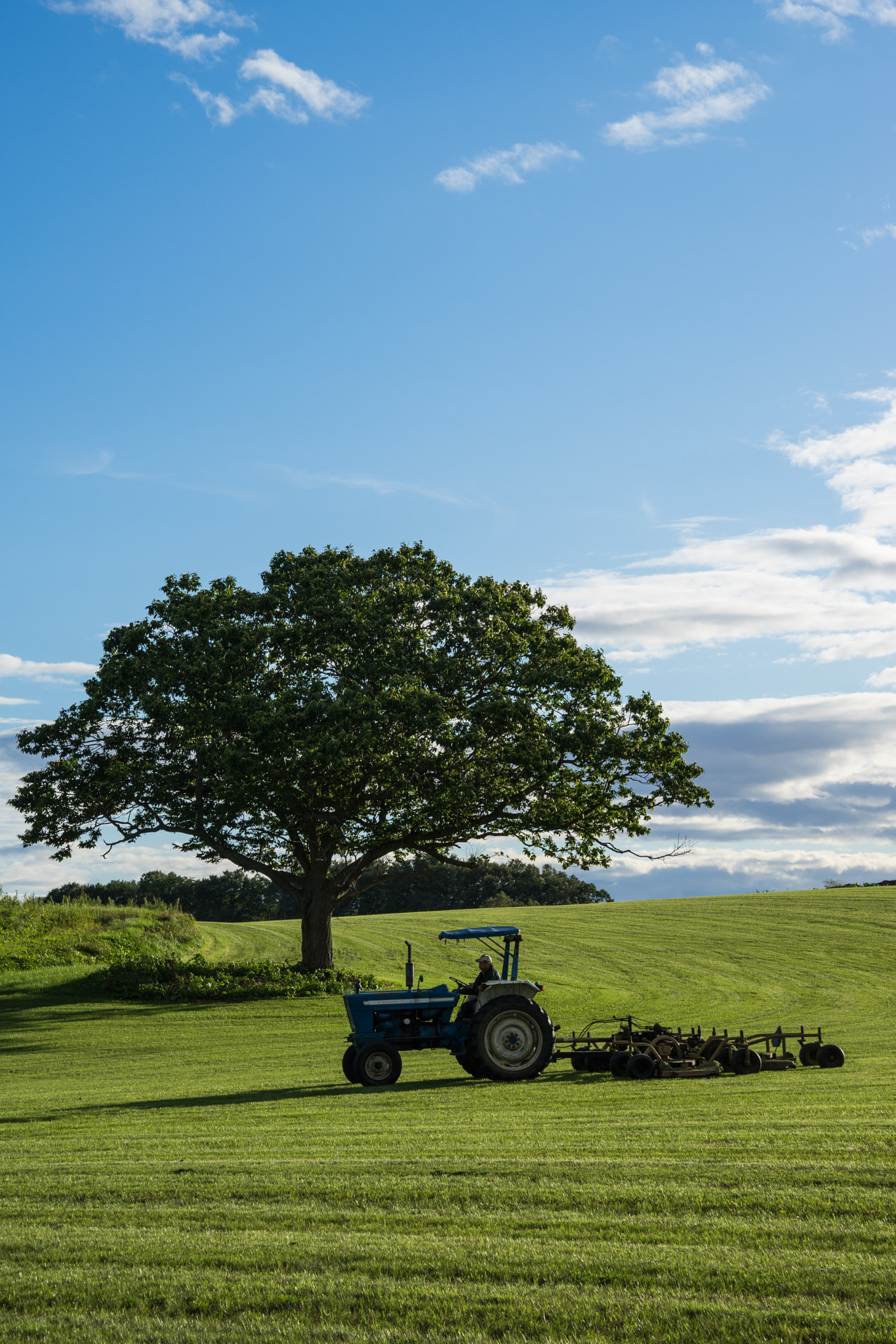 Sony a7 II + Sony FE 24-70mm F2.8 GM sample photo. Lawn farm photography