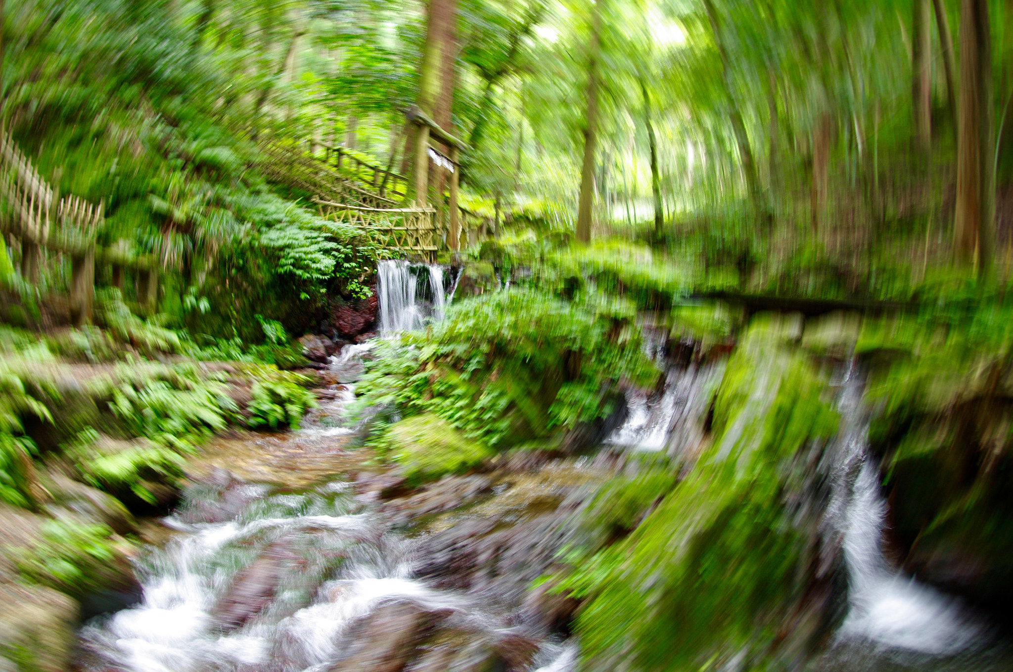 Pentax K20D sample photo