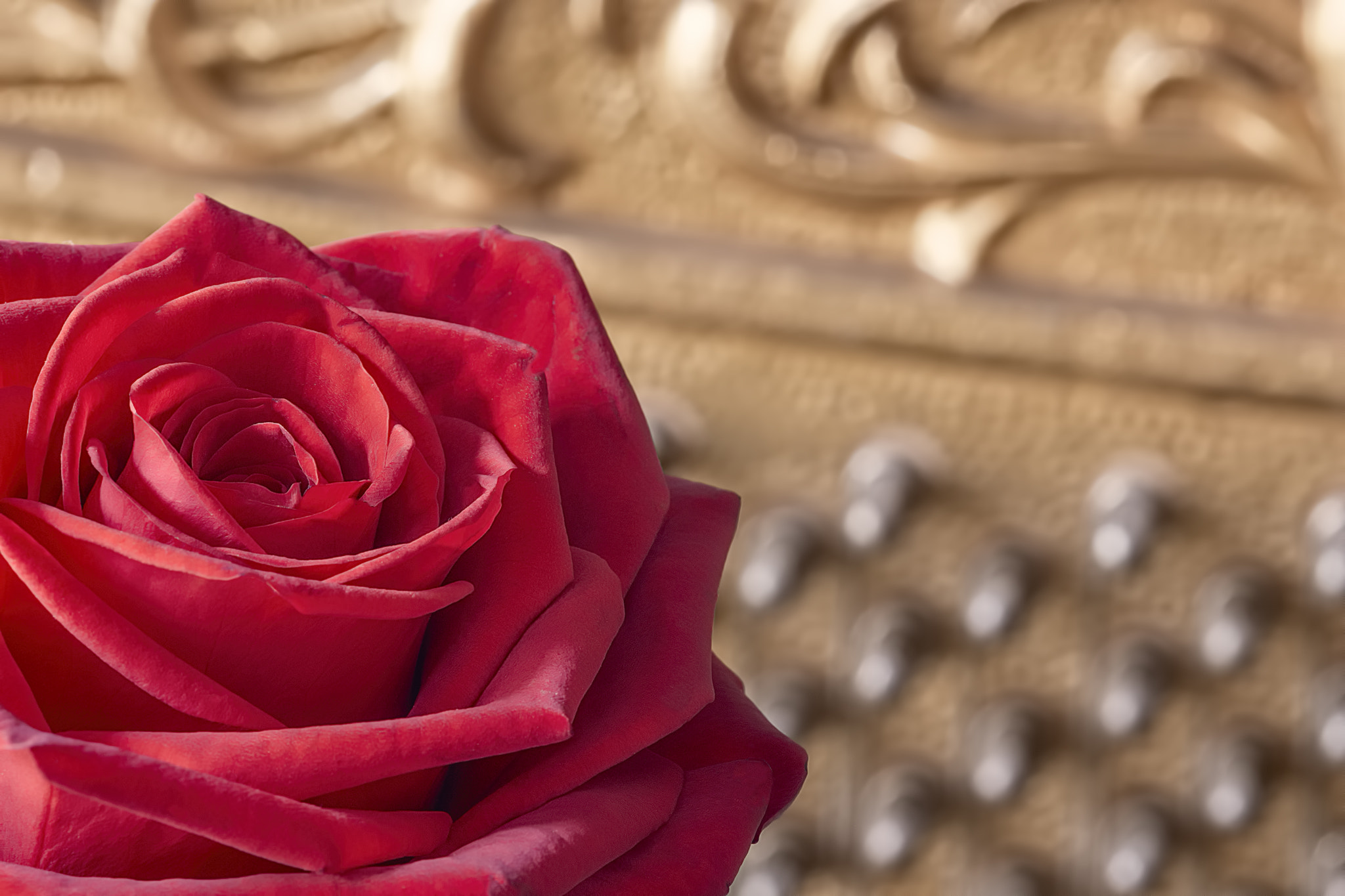 Sigma 105mm F2.8 EX DG Macro sample photo. Red rose and antique piano inside photography