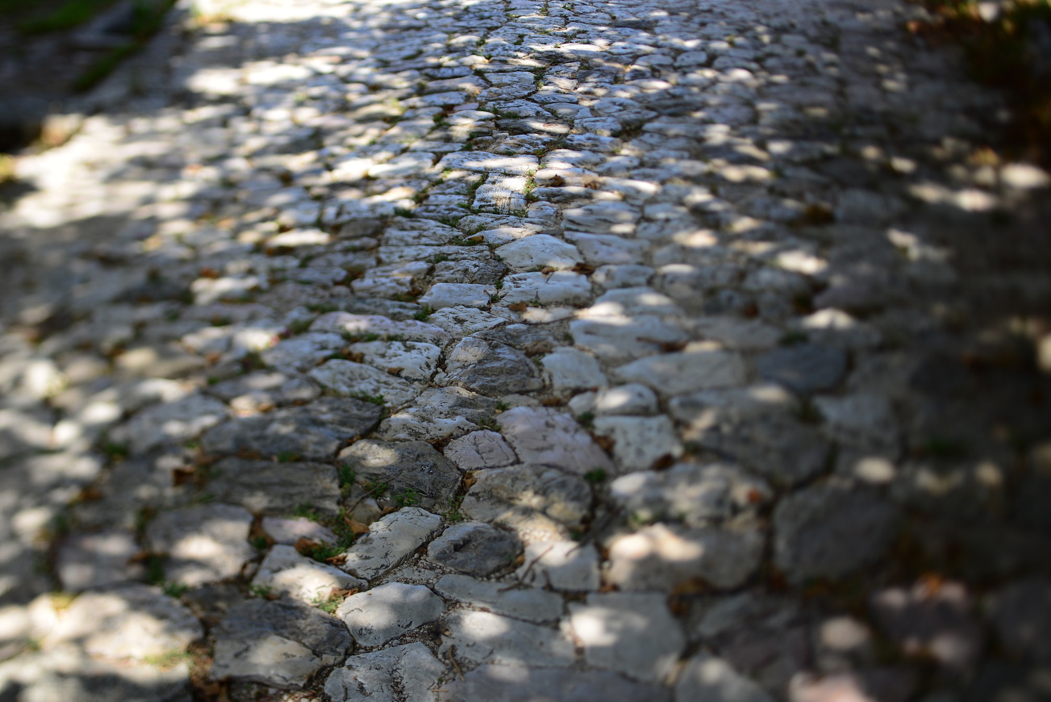 Nikon PC-E Nikkor 45mm F2.8D ED Tilt-Shift sample photo. Lonely road photography