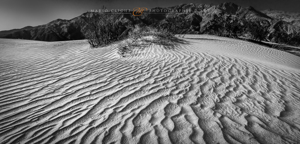 Canon EOS 5DS sample photo. Sand dunes photography