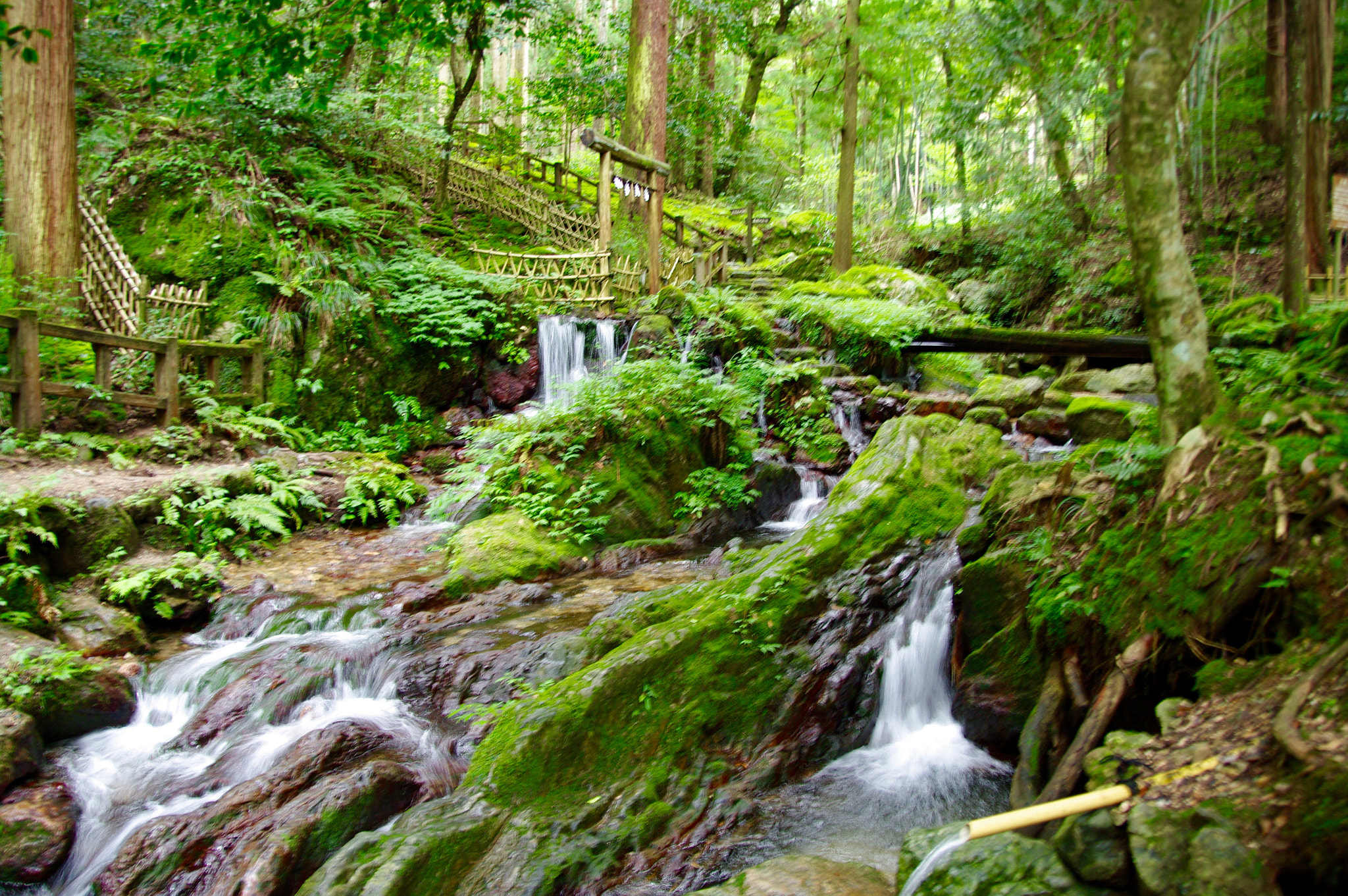 Pentax K20D sample photo. Acqua photography