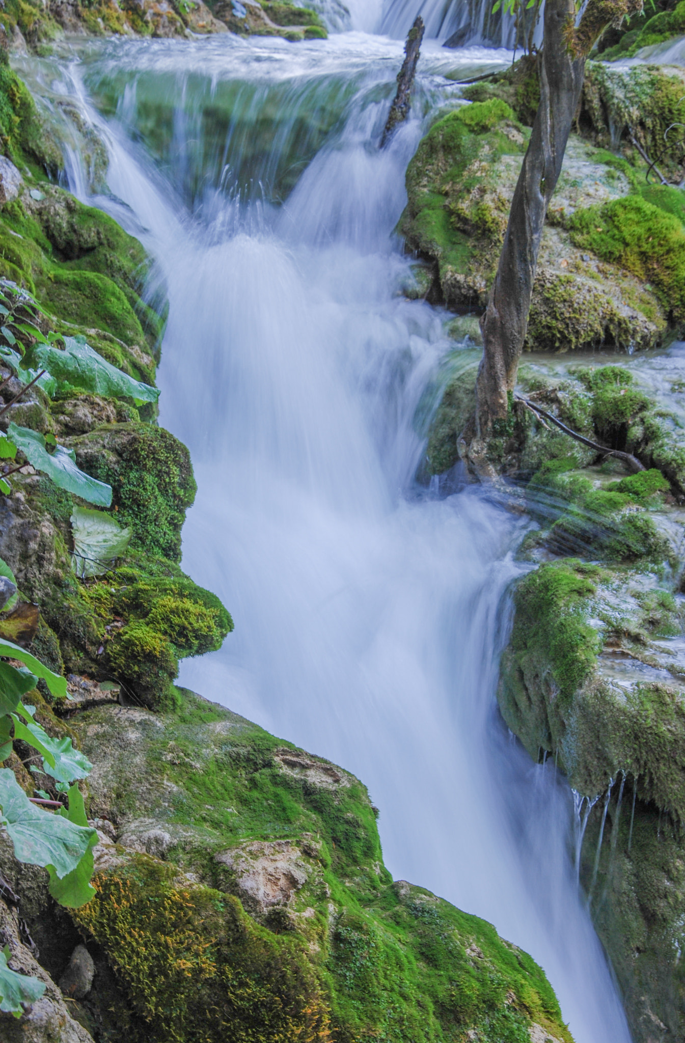 Nikon D40X sample photo. The flow photography