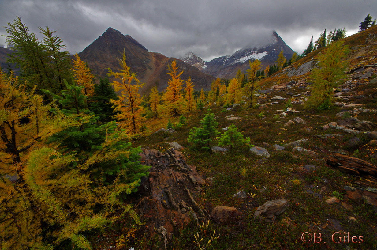 Sigma AF 10-20mm F4-5.6 EX DC sample photo. Fall storm building photography