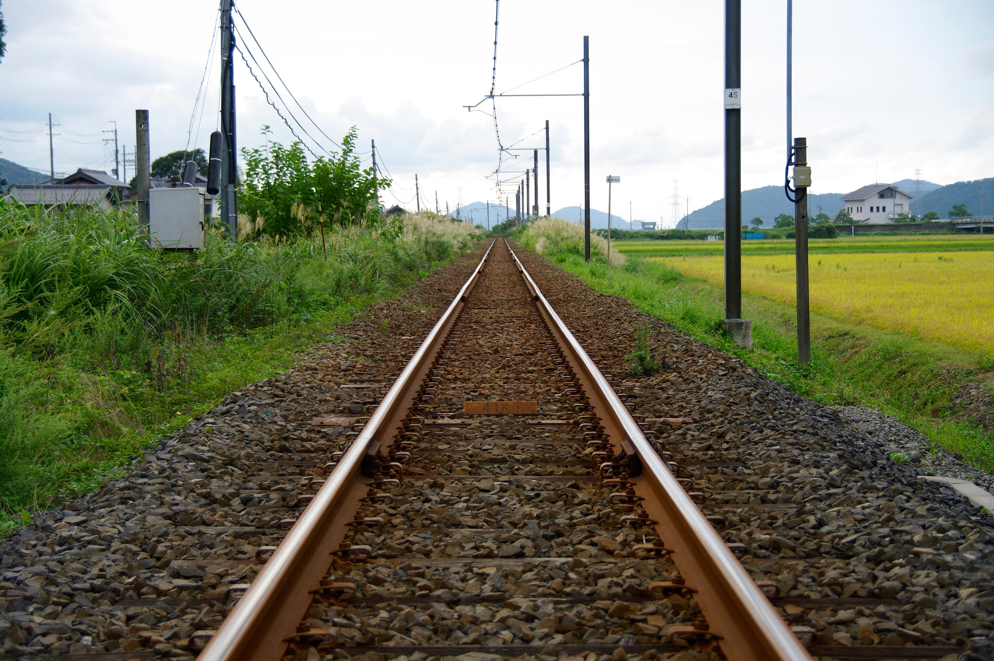 Pentax K20D sample photo. My wy photography