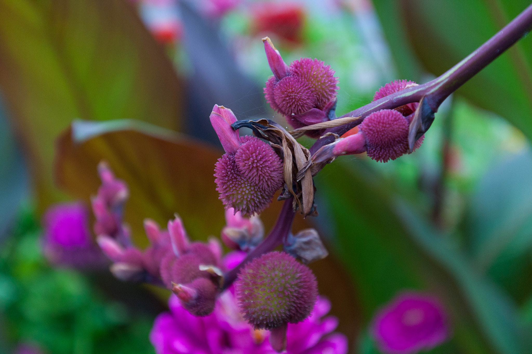 Canon EF 16-35mm F4L IS USM sample photo. Color photography