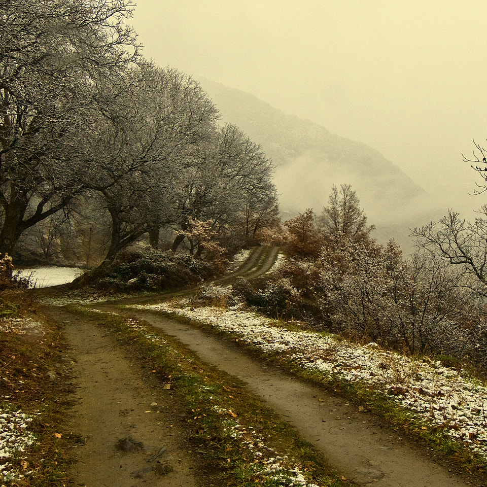 Nikon D200 sample photo. Camino photography