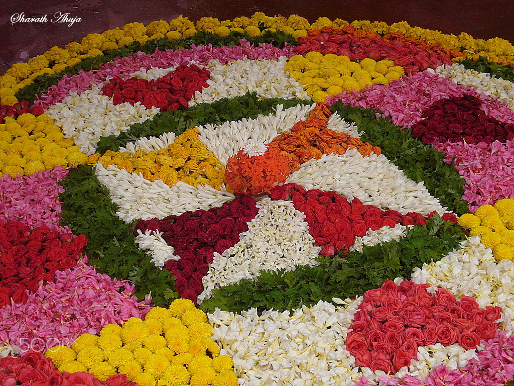 Panasonic DMC-FX01 sample photo. The symmetrically beautiful onam festival flower decoration photography
