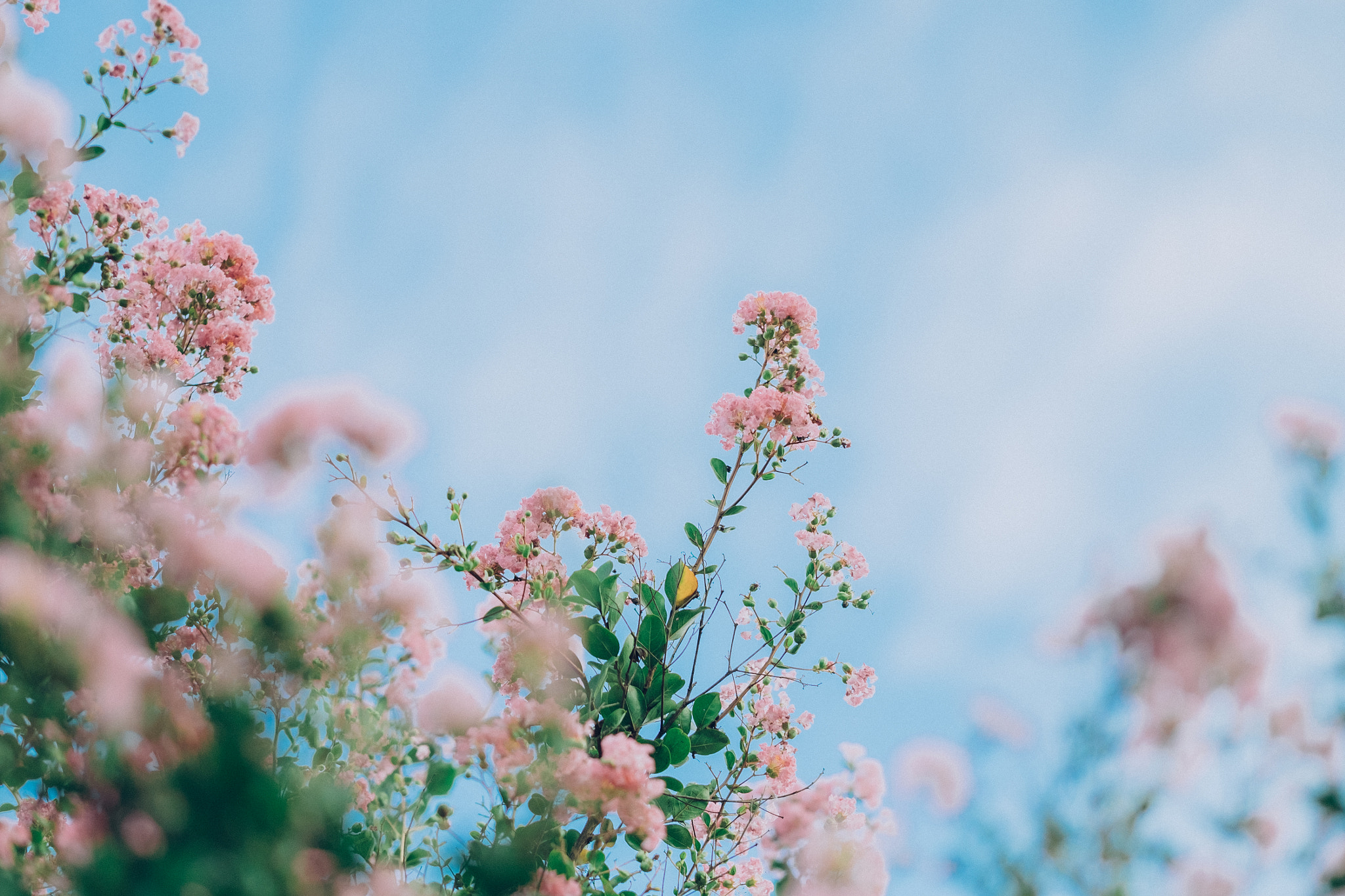 Fujifilm X-T10 + Fujifilm XF 90mm F2 R LM WR sample photo. Somewhere in maizuru photography