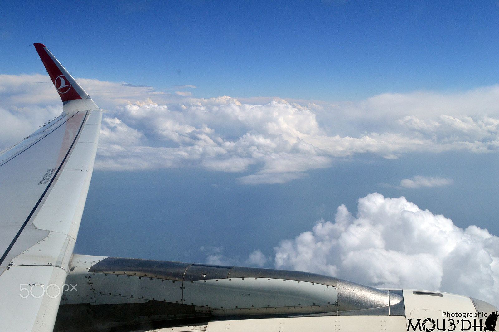 Nikon D3200 + Nikon AF Nikkor 105mm F2D DC sample photo. My dream is to fly.jpg photography
