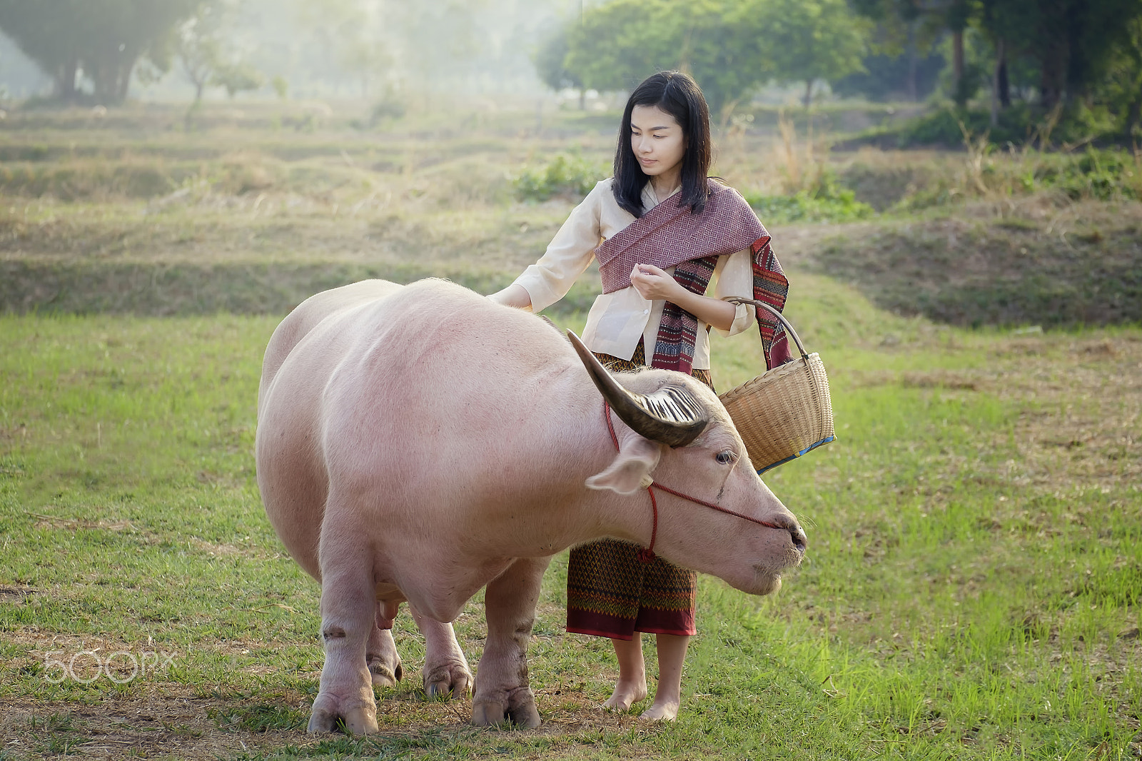 Fujifilm X-E2 + Fujifilm XC 50-230mm F4.5-6.7 OIS II sample photo. Thai woman portrait with white buffalo photography