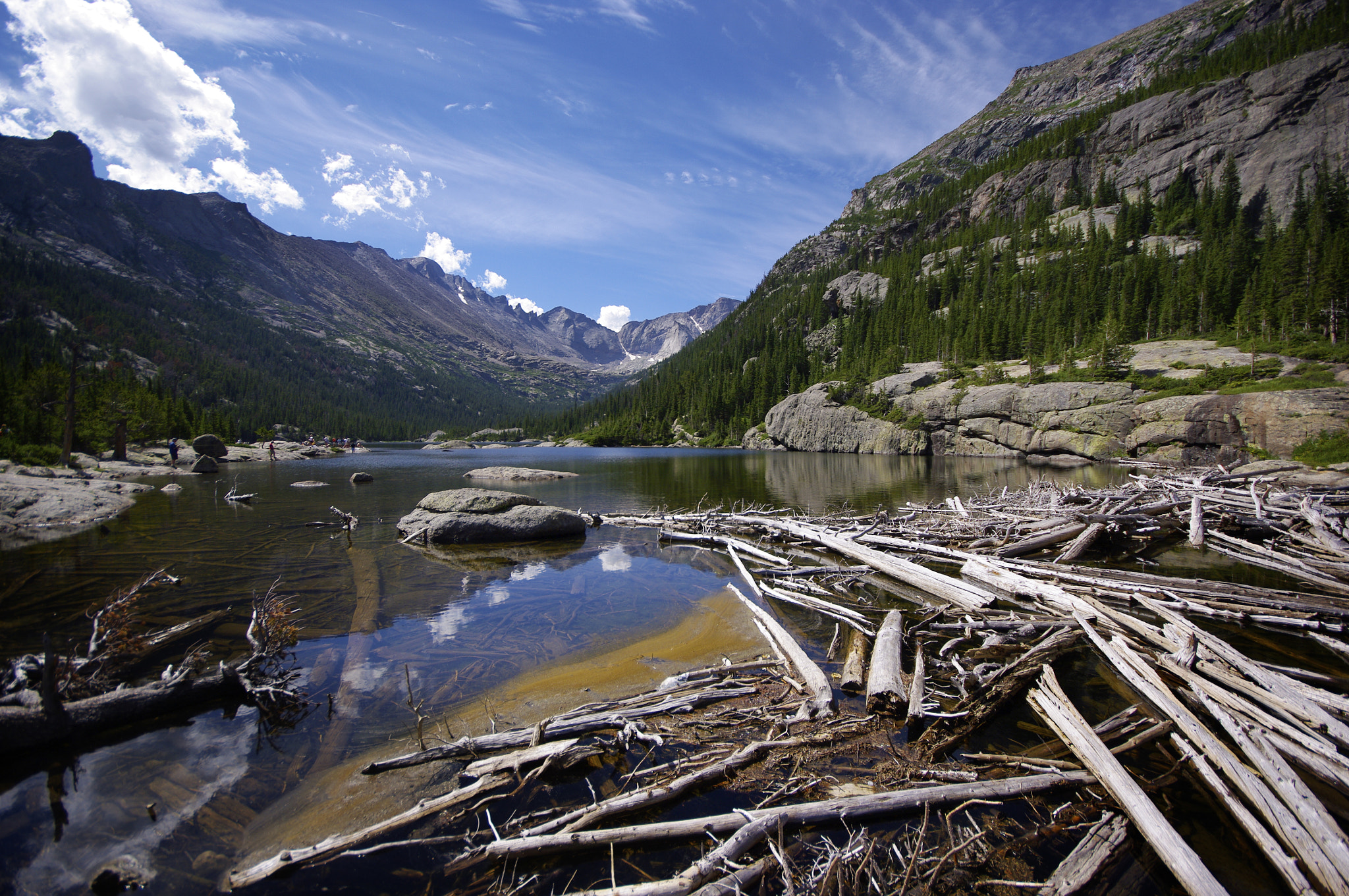 Pentax K20D sample photo. Lake and driftwood in the rockies photography