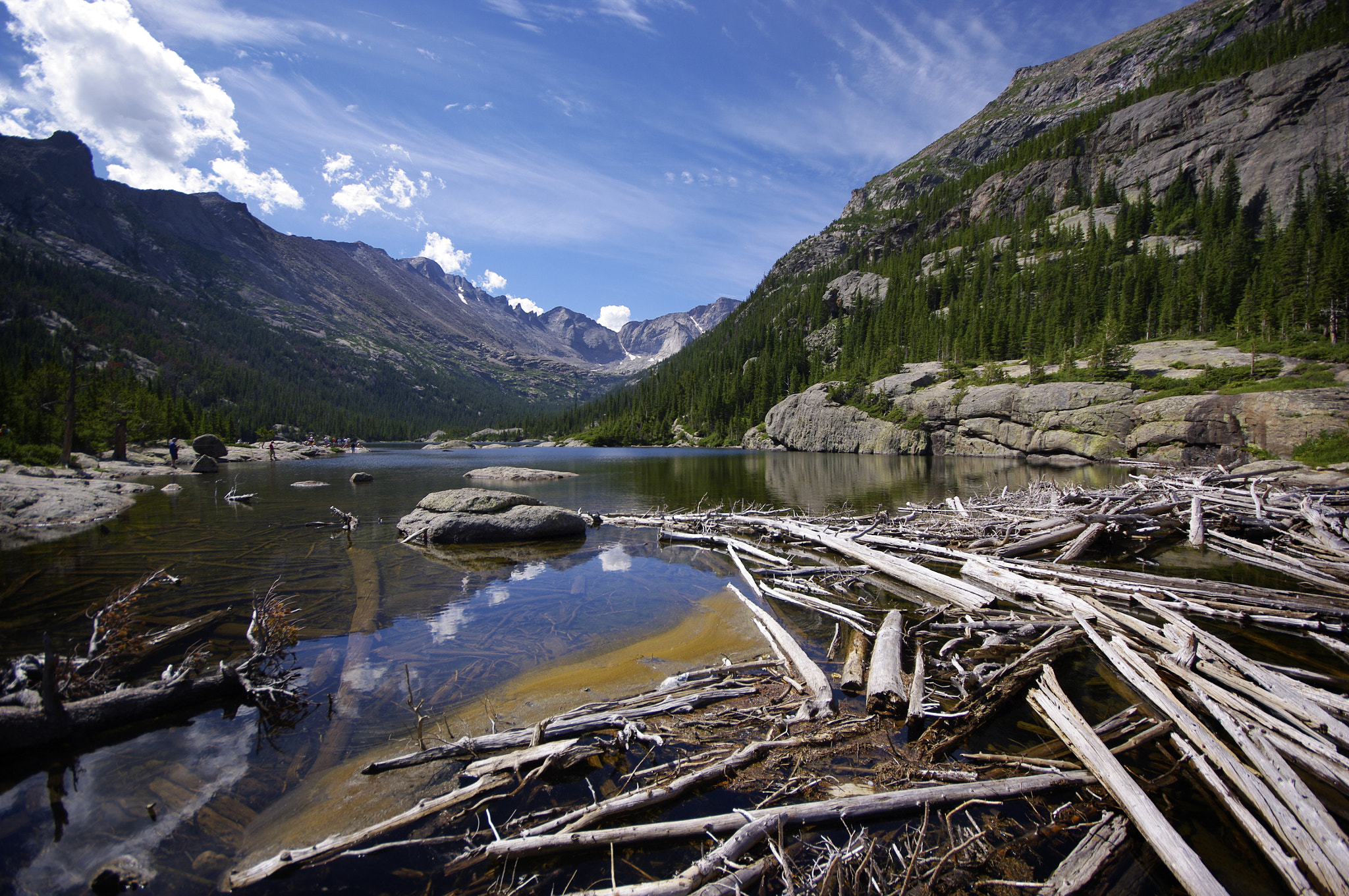 Sigma AF 10-20mm F4-5.6 EX DC sample photo. Lake and driftwood in the rockies photography