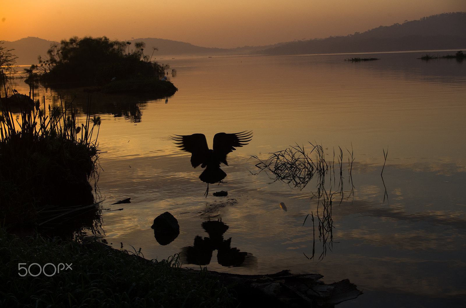 Pentax K-01 sample photo. Reflections photography