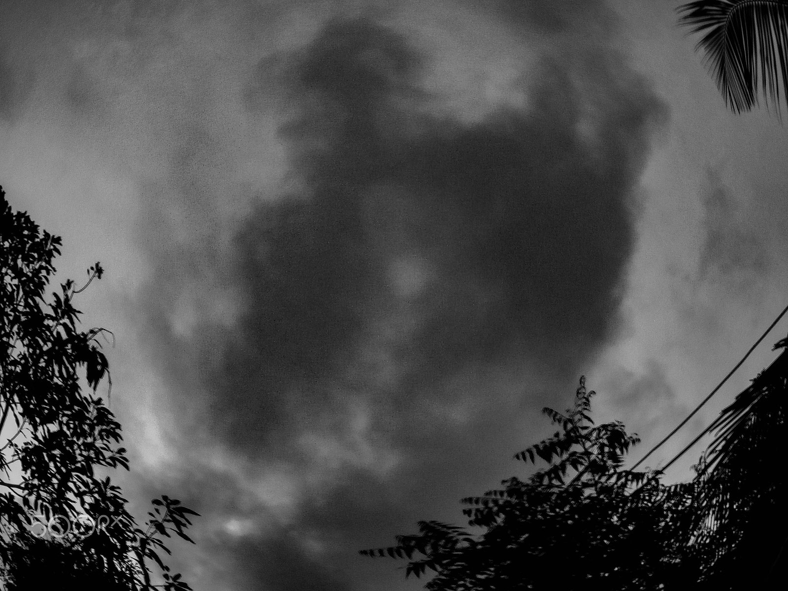 Olympus VR340,D750 sample photo. Darkness my old friend photography