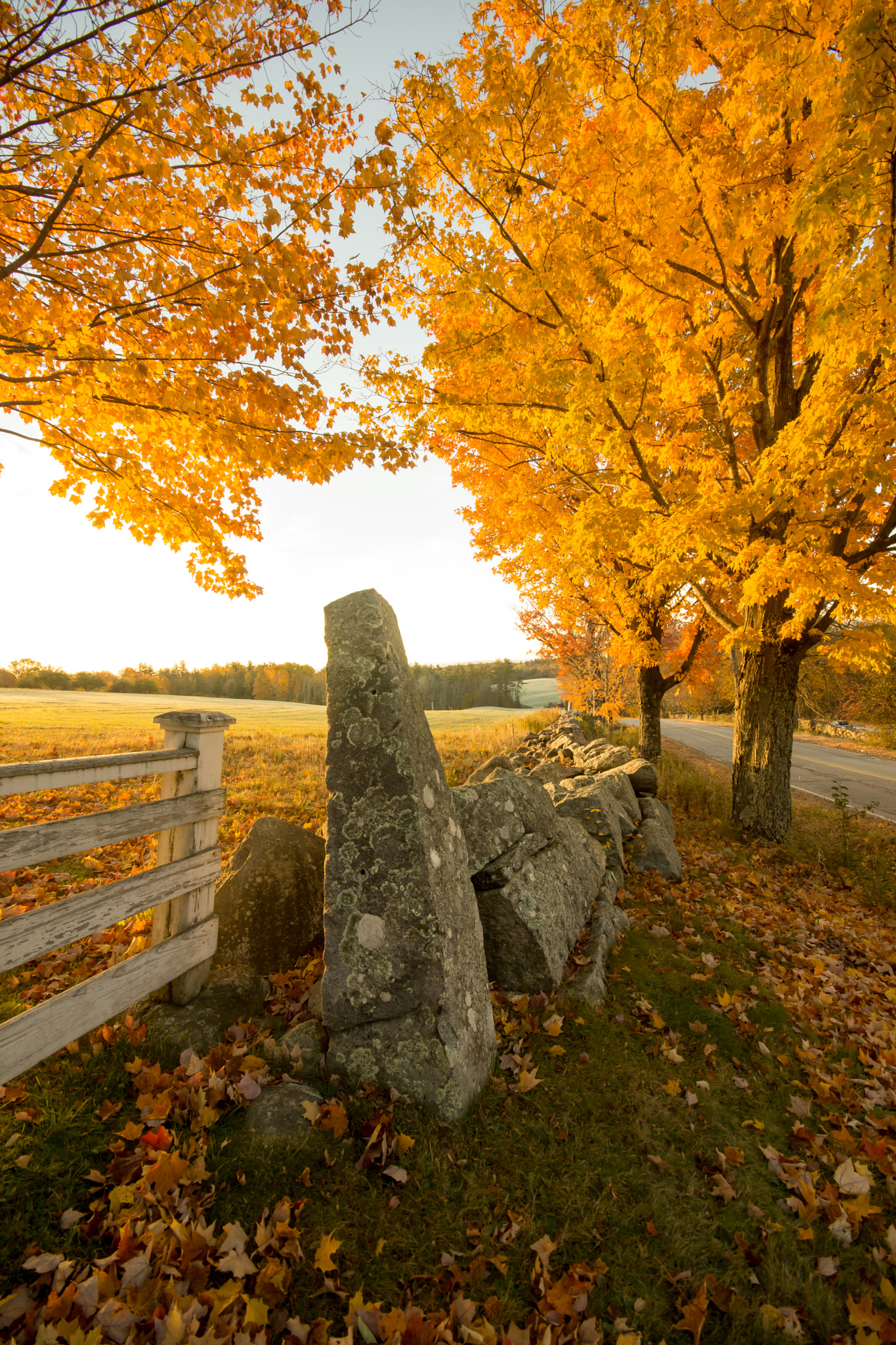 Sigma AF 10-20mm F4-5.6 EX DC sample photo. New england country roadside photography