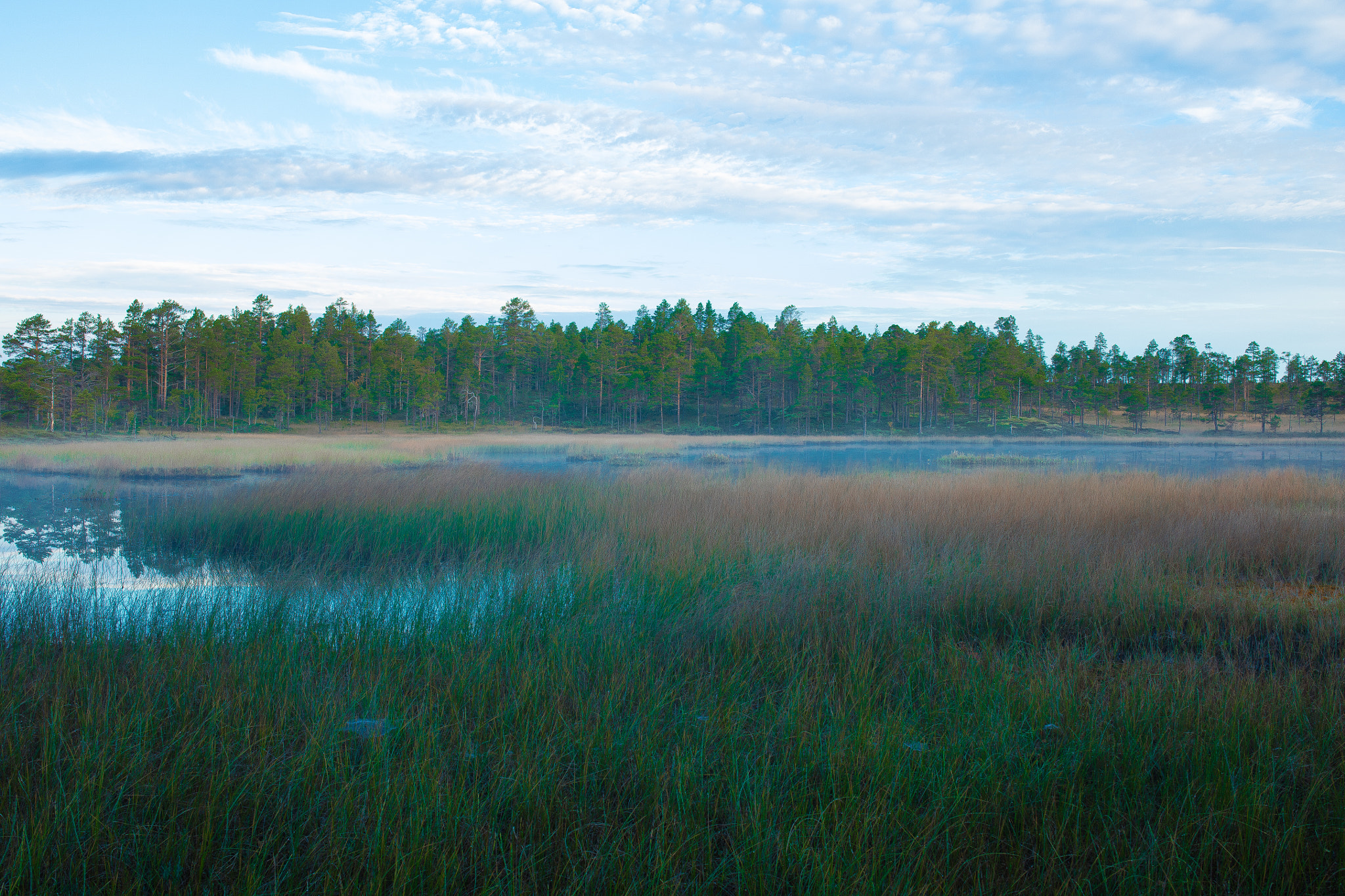Sigma 35mm F1.4 DG HSM Art sample photo. Nature´s palette photography