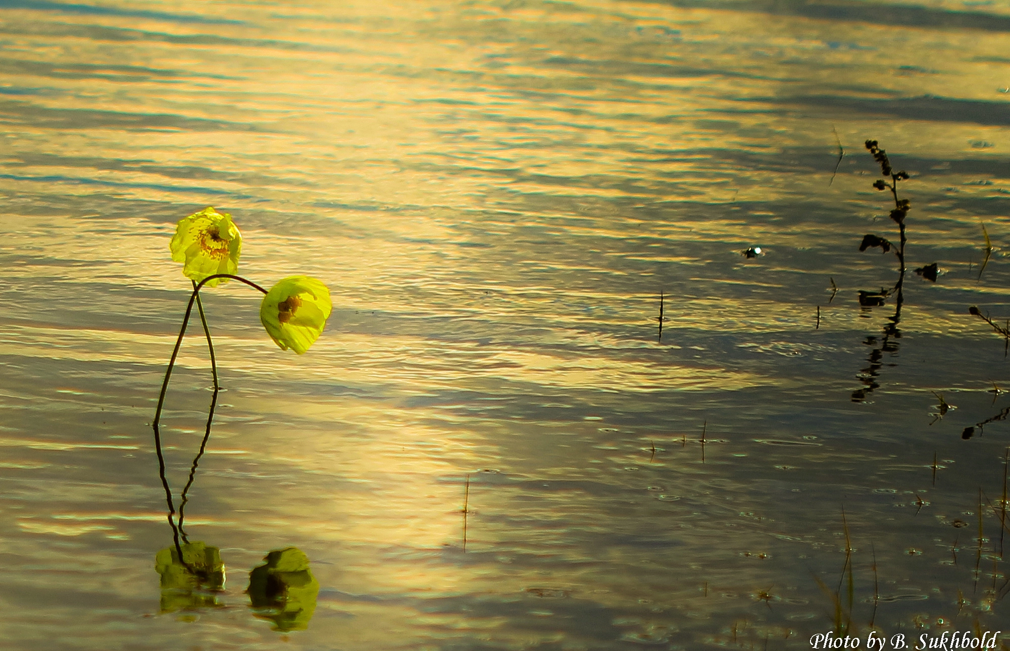 Canon EOS M3 sample photo. Sunset rendezvous photography