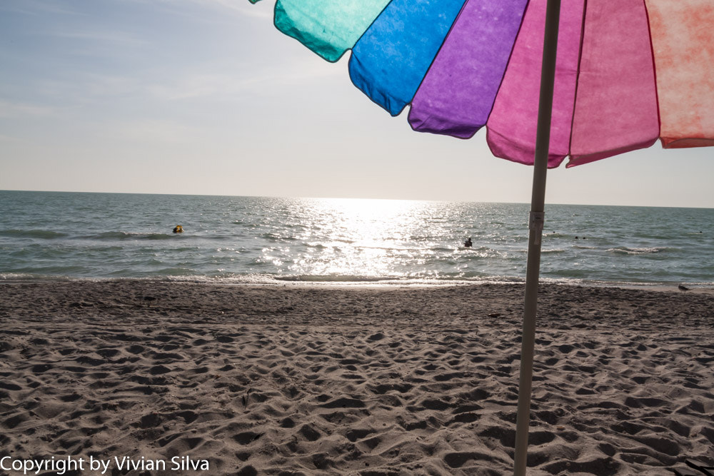 Canon EOS 40D sample photo. Colorful photography