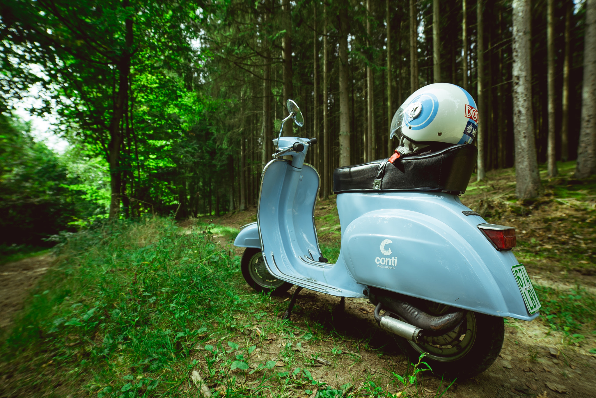 Vespa in the Woods