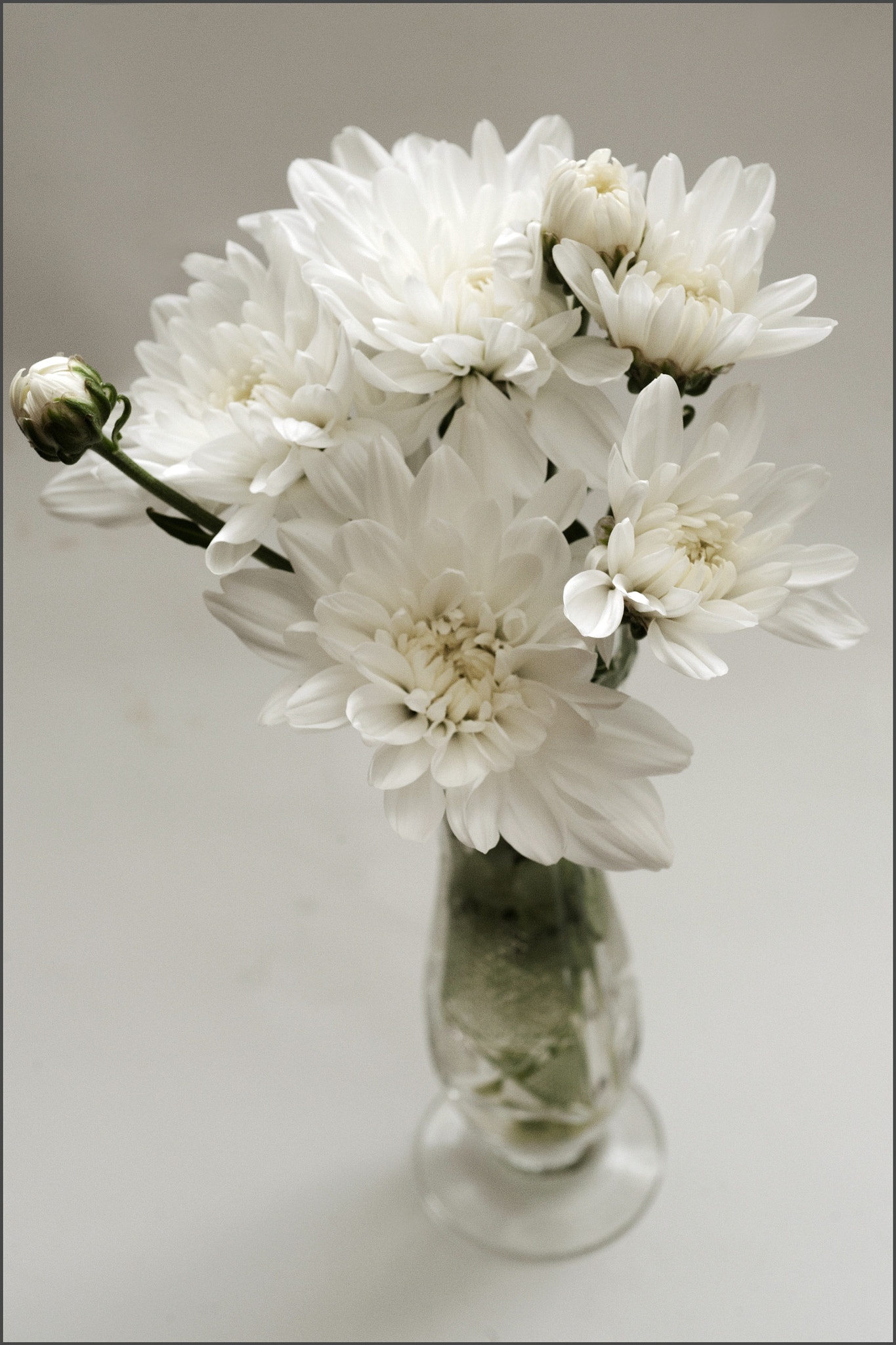 AF Micro-Nikkor 60mm f/2.8 sample photo. *** photography