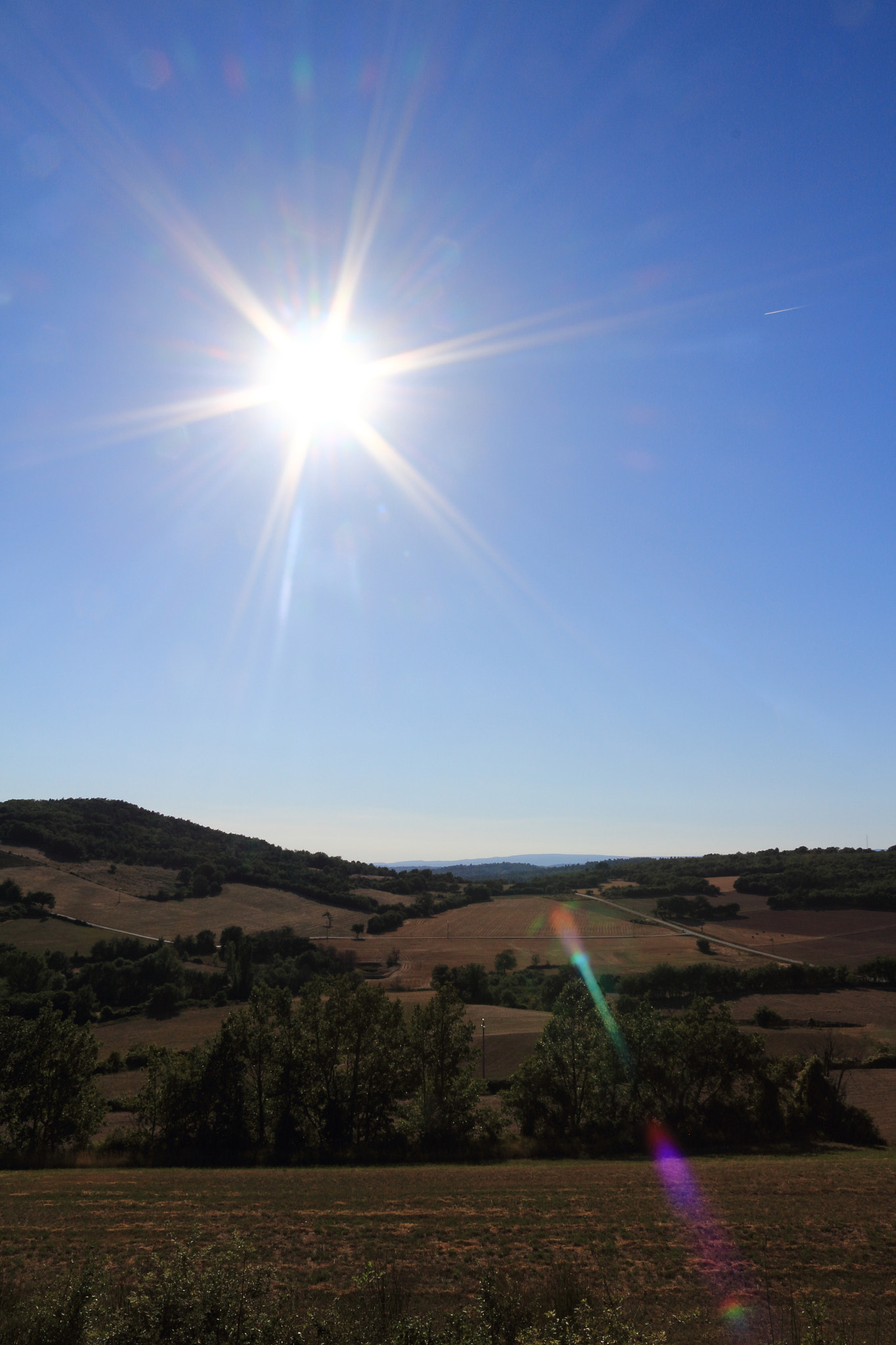 Canon EOS 100D (EOS Rebel SL1 / EOS Kiss X7) sample photo. Sweet provence photography