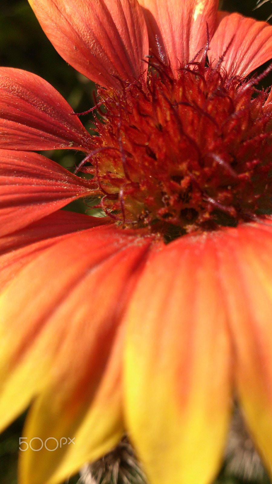 Sony Xperia T sample photo. Untitled photography