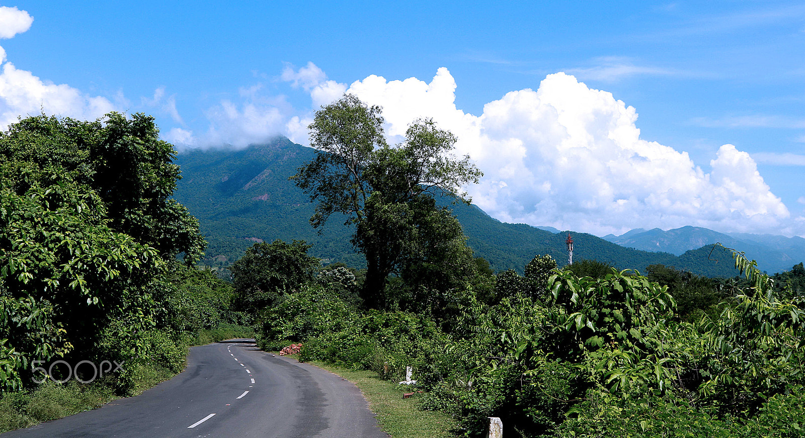 Canon EOS 750D (EOS Rebel T6i / EOS Kiss X8i) + Canon EF 24-105mm F4L IS USM sample photo. Way to araku valley india photography