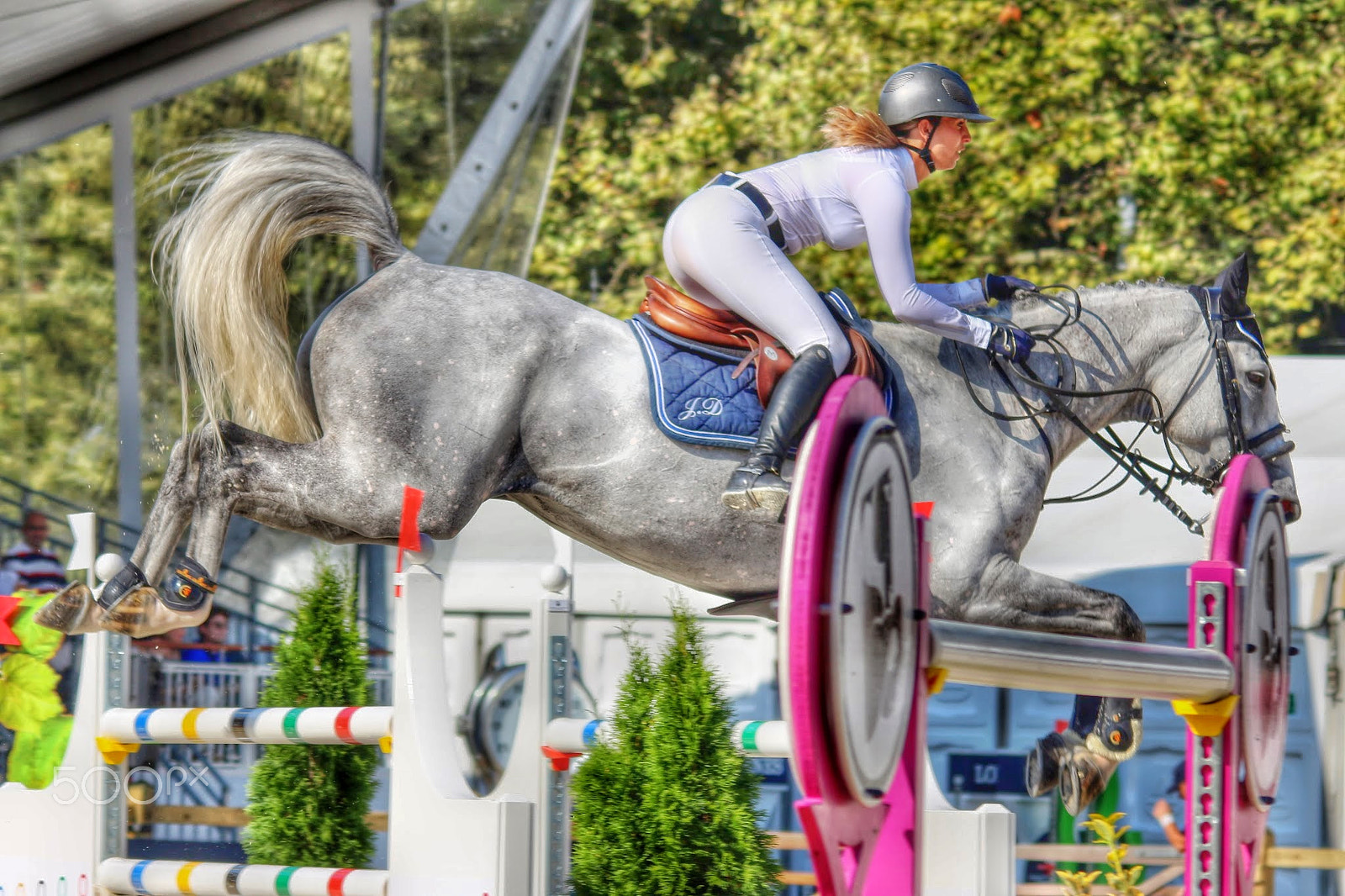 Sigma 150-500mm F5-6.3 DG OS HSM sample photo. Longines horse show lausanne julia dallamano hoepala vh daalhof photography
