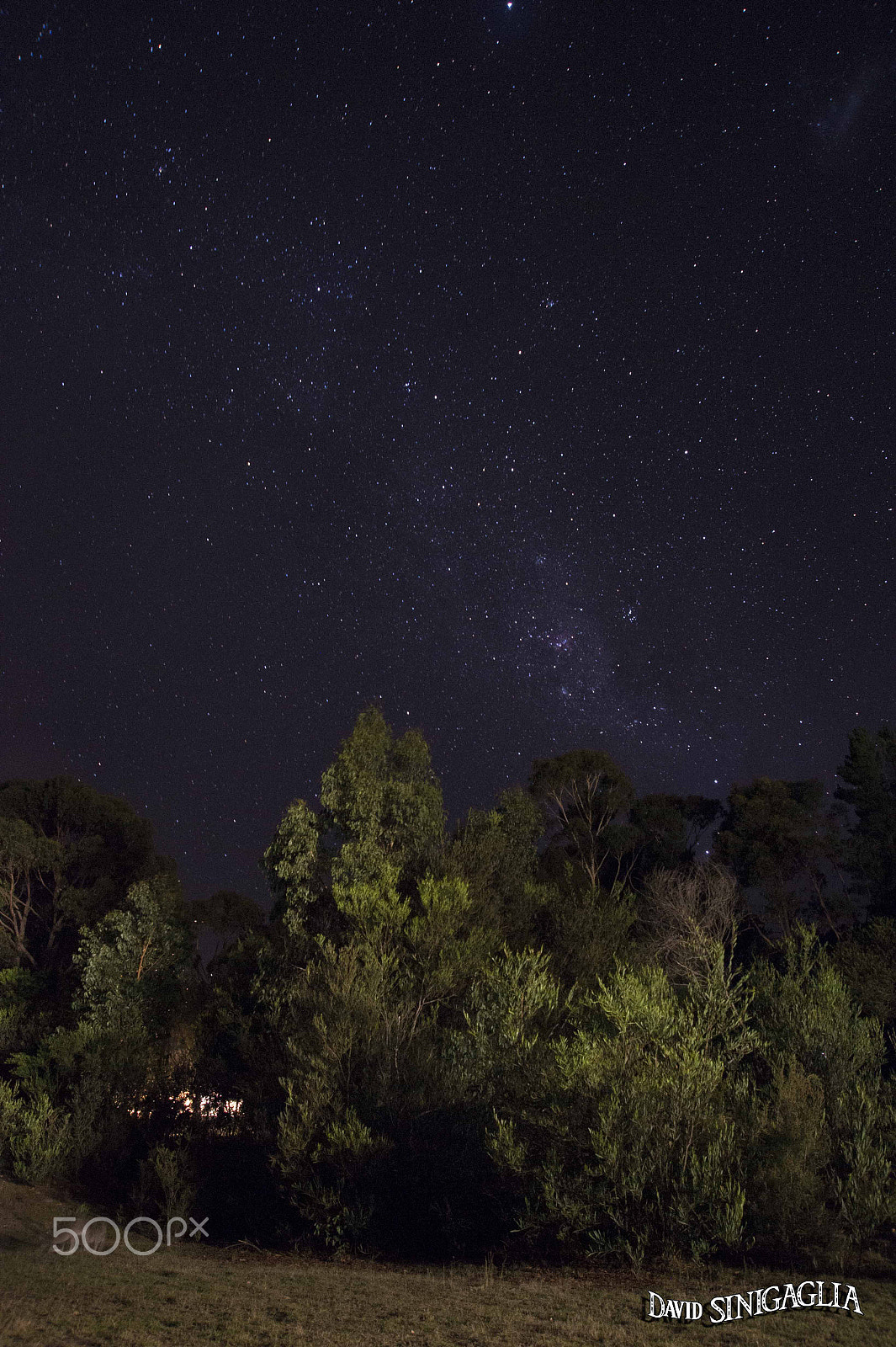 Nikon AF Nikkor 24-85mm F2.8-4D IF sample photo. Forest under stars photography