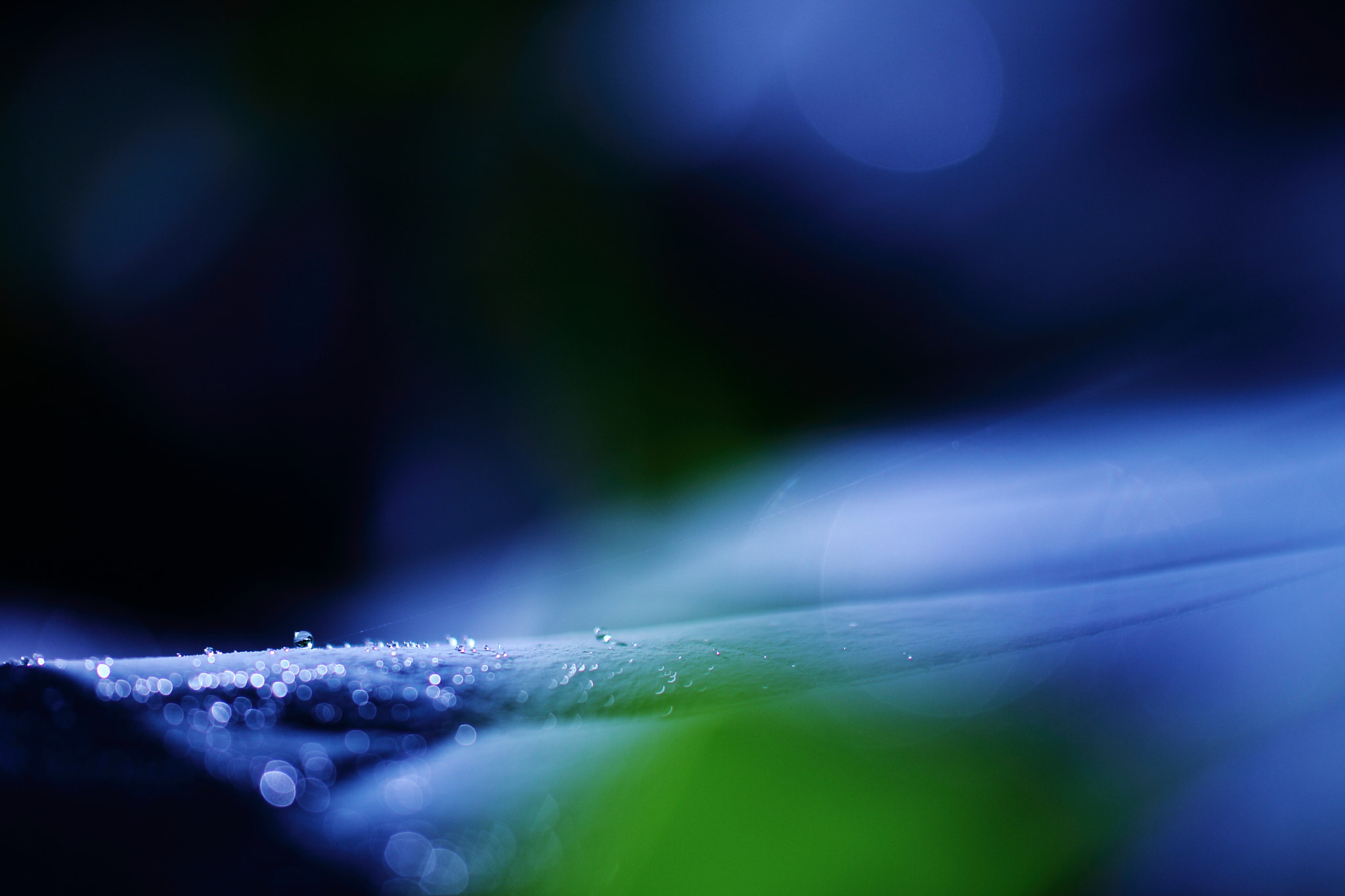 Tamron SP AF 60mm F2 Di II LD IF Macro sample photo. To the andromeda photography