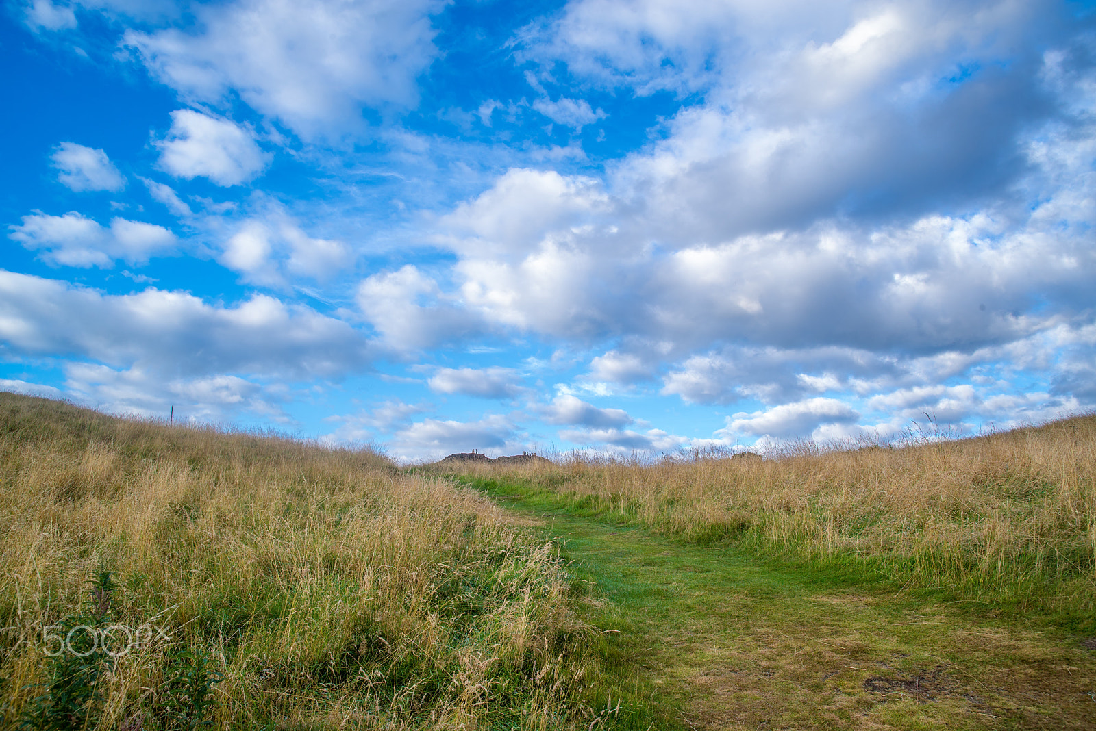 Nikon D600 + Sigma 24-60mm F2.8 EX DG sample photo. Autumn path to authur's seat photography