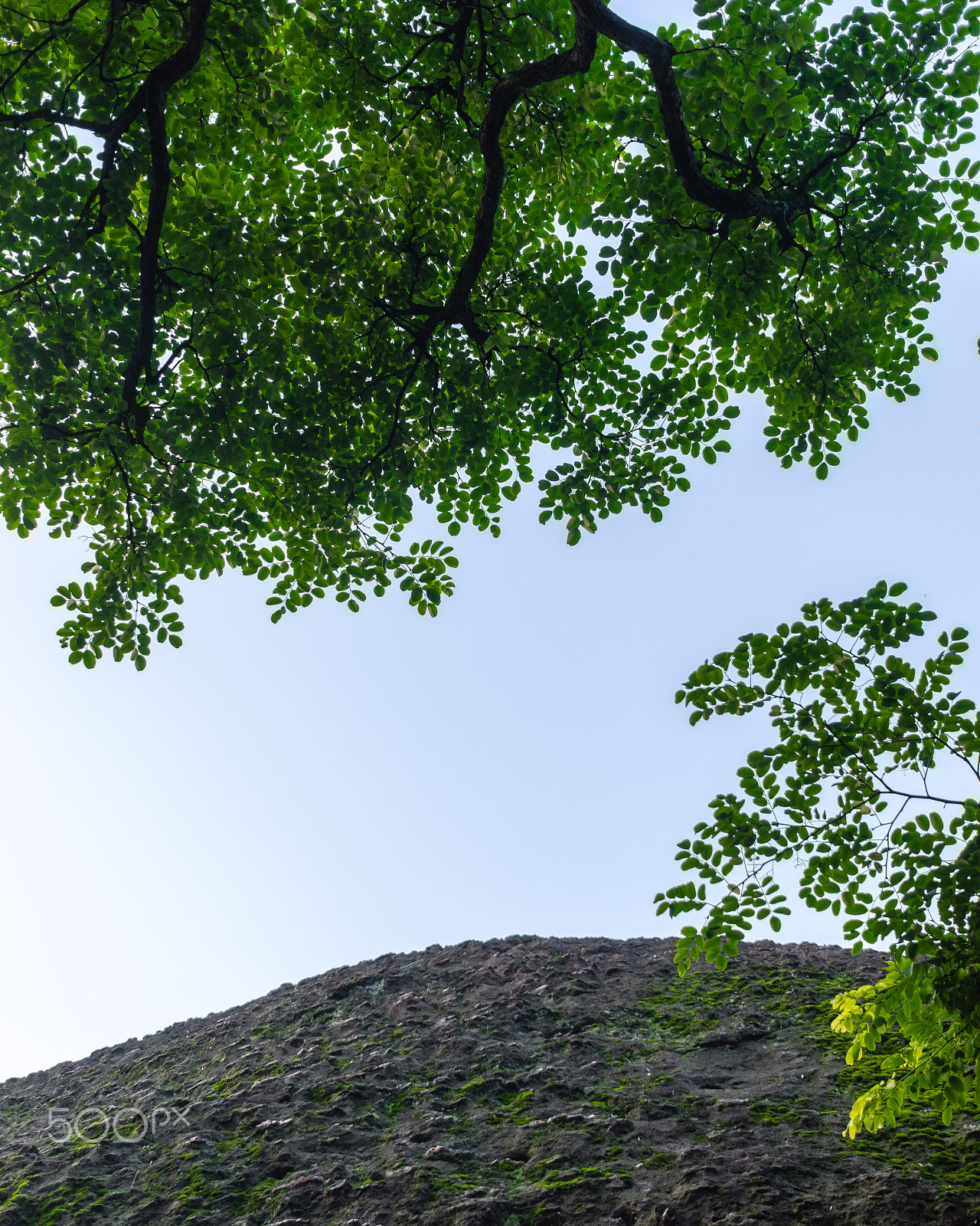 Pentax K-3 II + Pentax smc DA 21mm F3.2 AL Limited sample photo. Rock&green photography