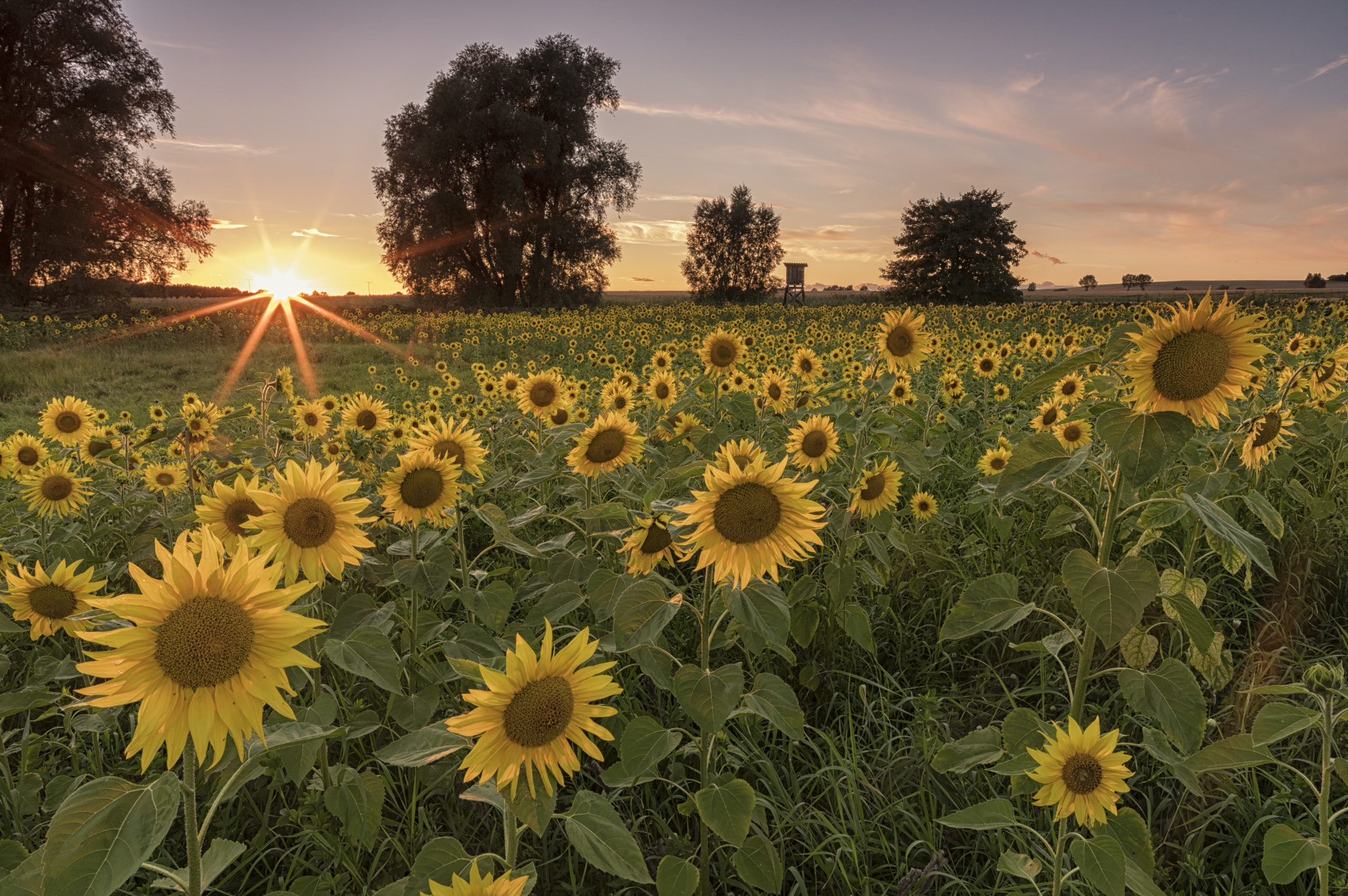 Pentax K-3 II + A Series Lens sample photo. The summer ends photography