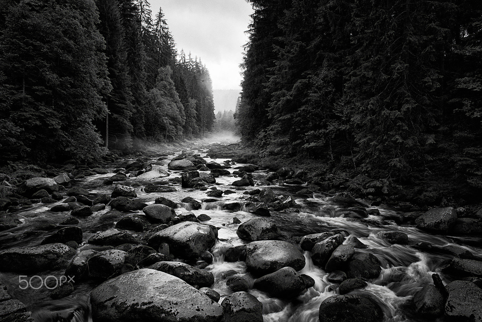 Nikon D750 + Nikon AF Nikkor 24mm F2.8D sample photo. Vydra river after rain photography