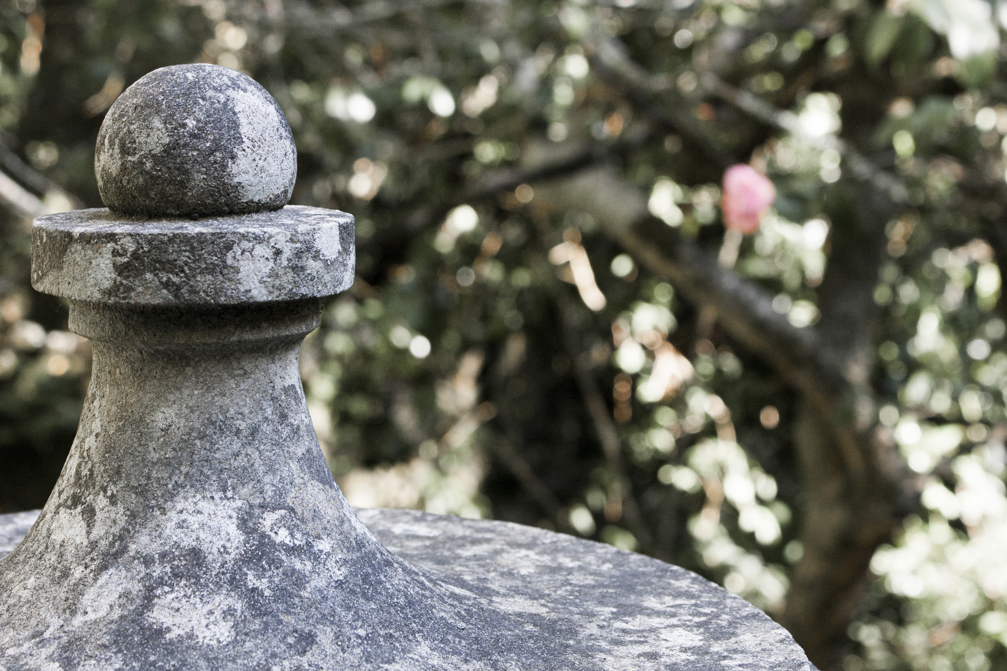 Canon EOS 40D sample photo. Natural vs artificial photography