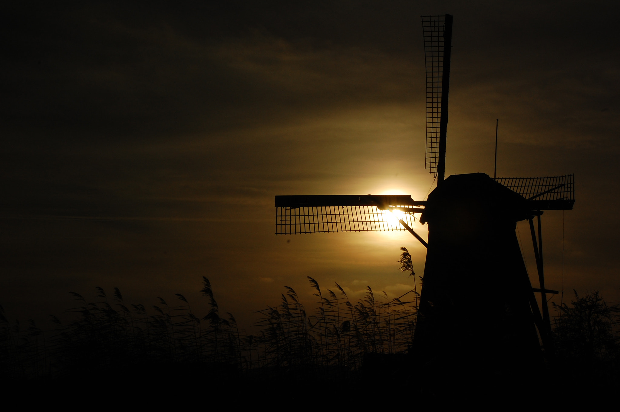 Nikon D40 sample photo. Windmill photography