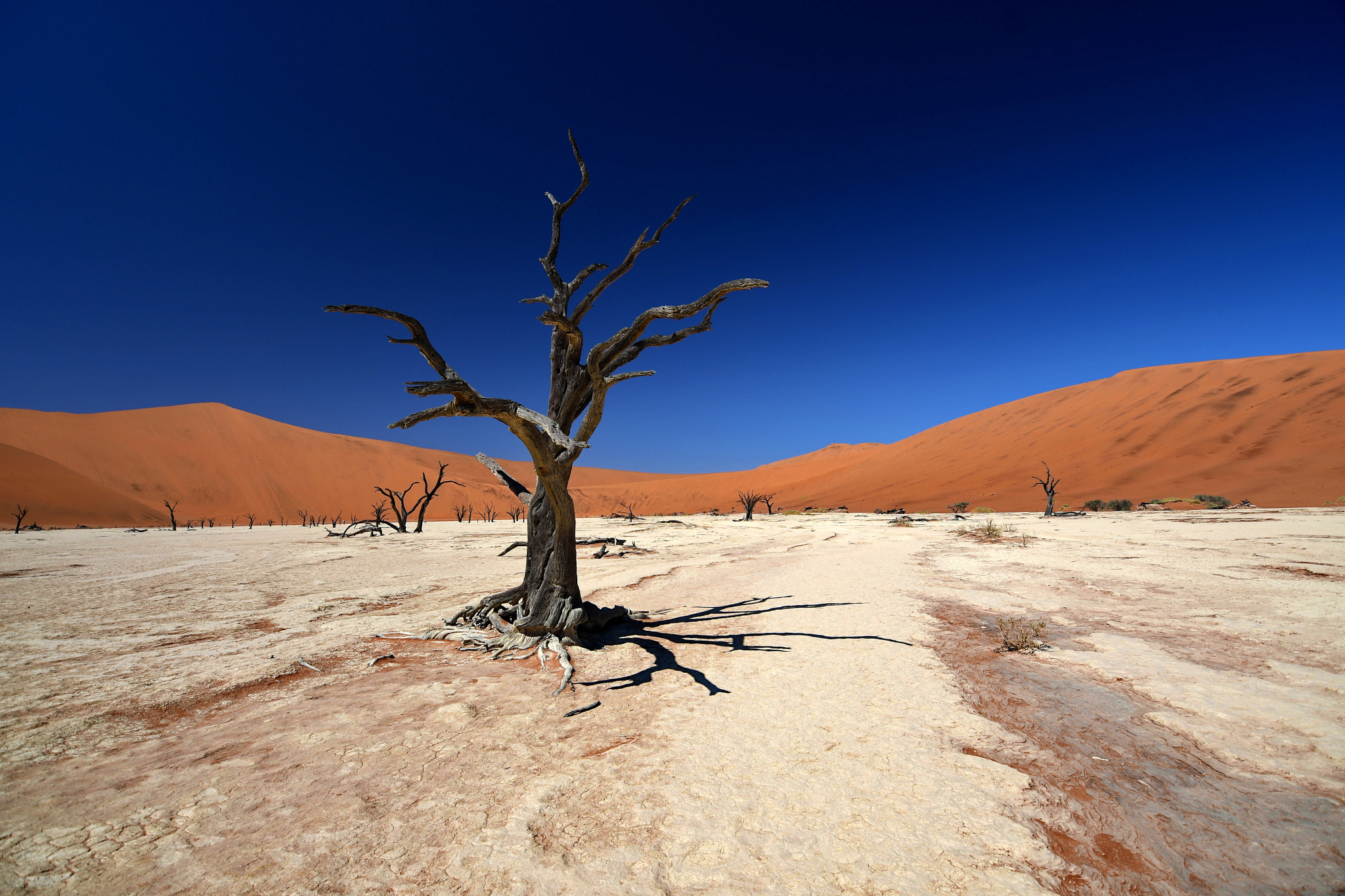 Nikon D500 sample photo. Death valley photography